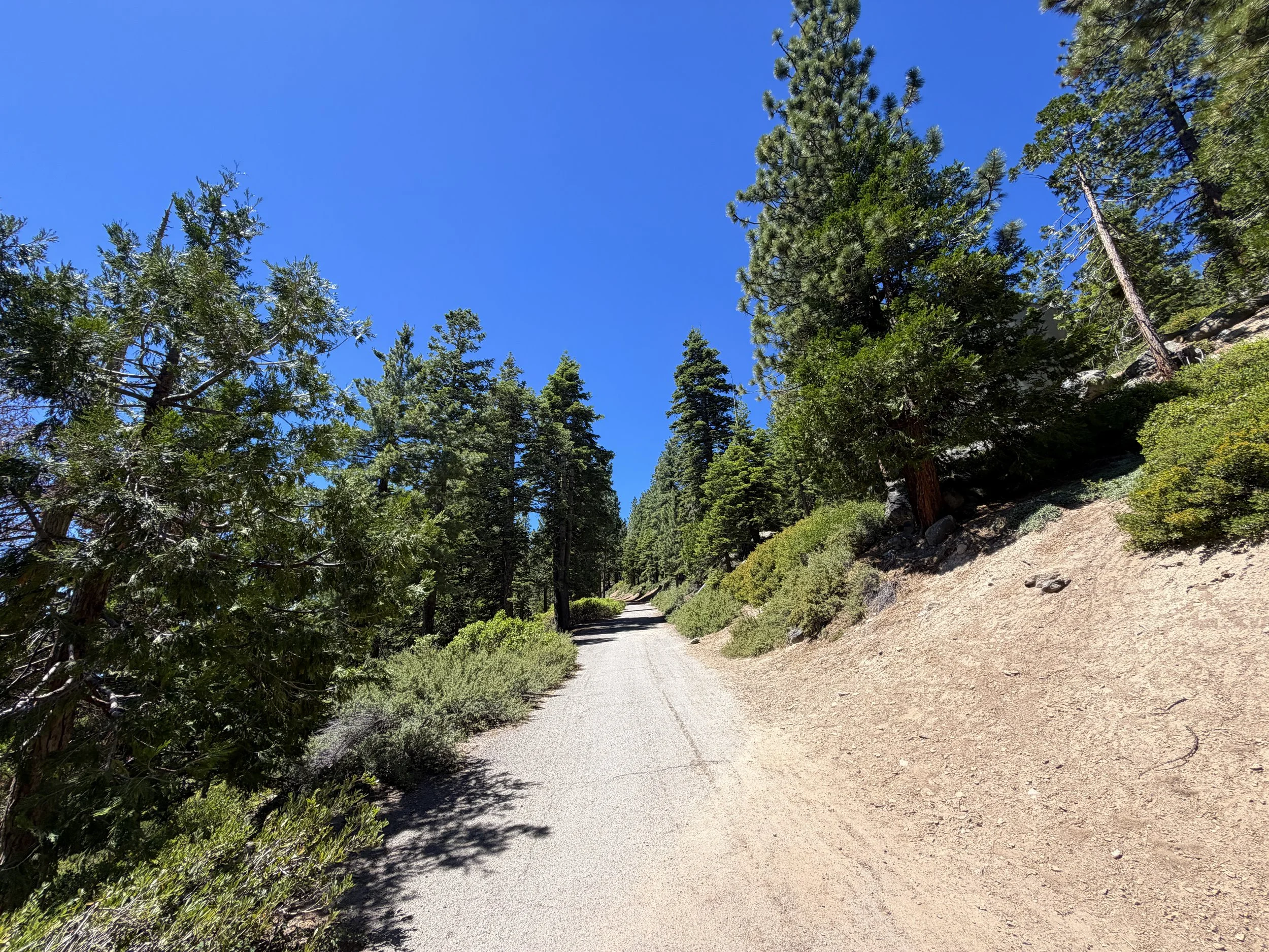 State Line Lookout Trail Lake Tahoe Nevada