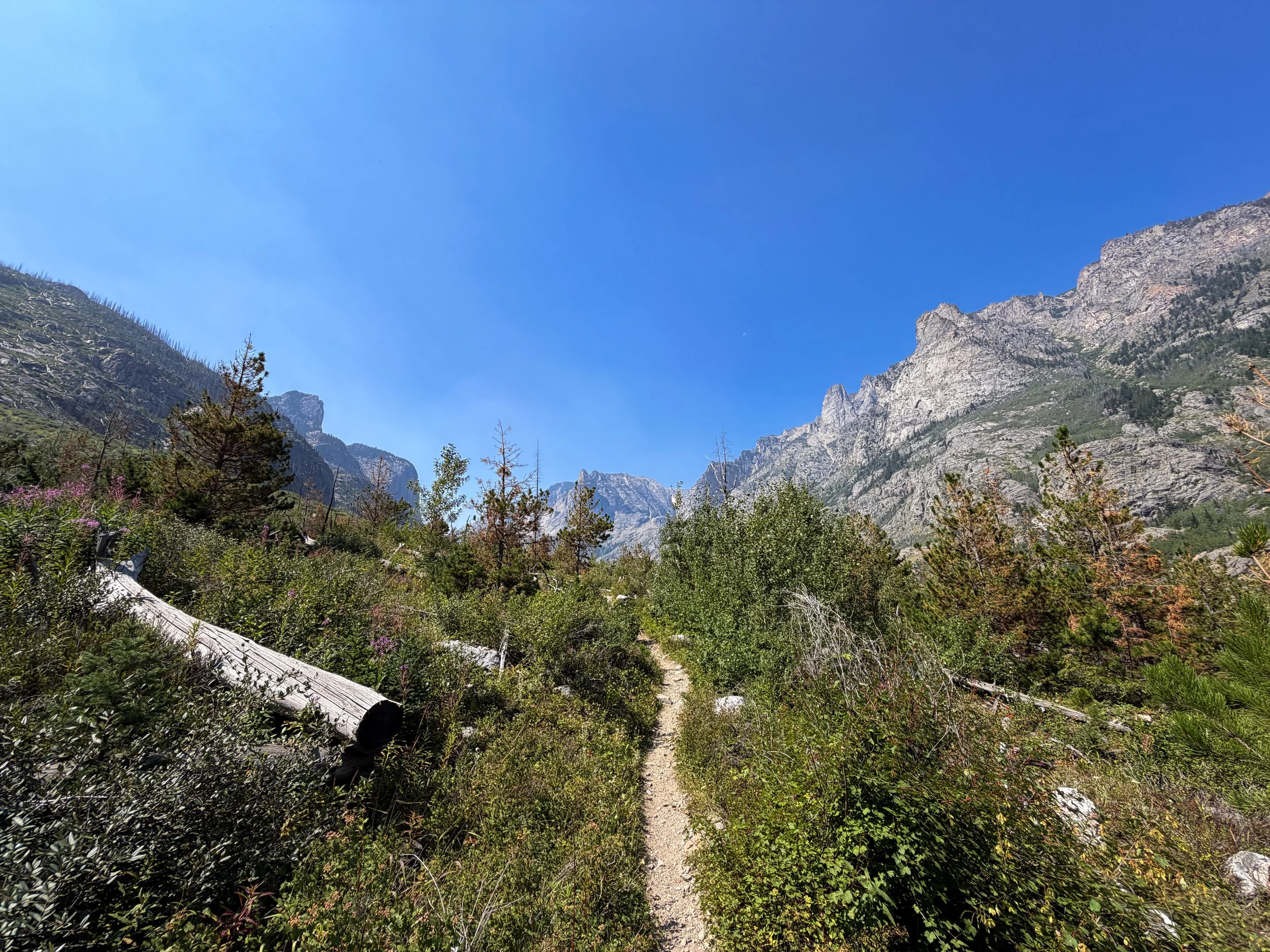 Beaten Path Hike Beartooth Mountains Montana