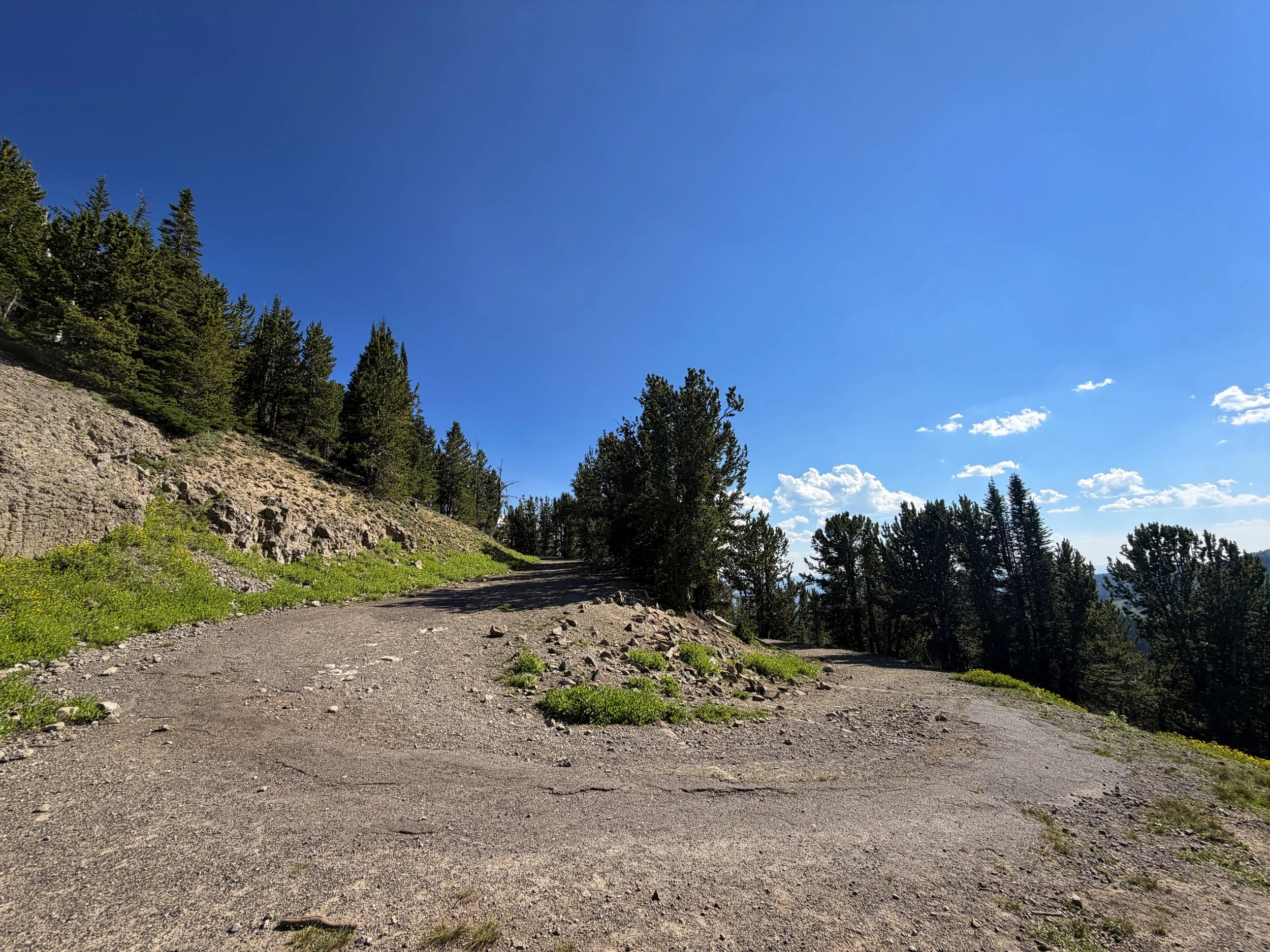 South Mt. Washburn Trail Yellowstone National Park Wyoming