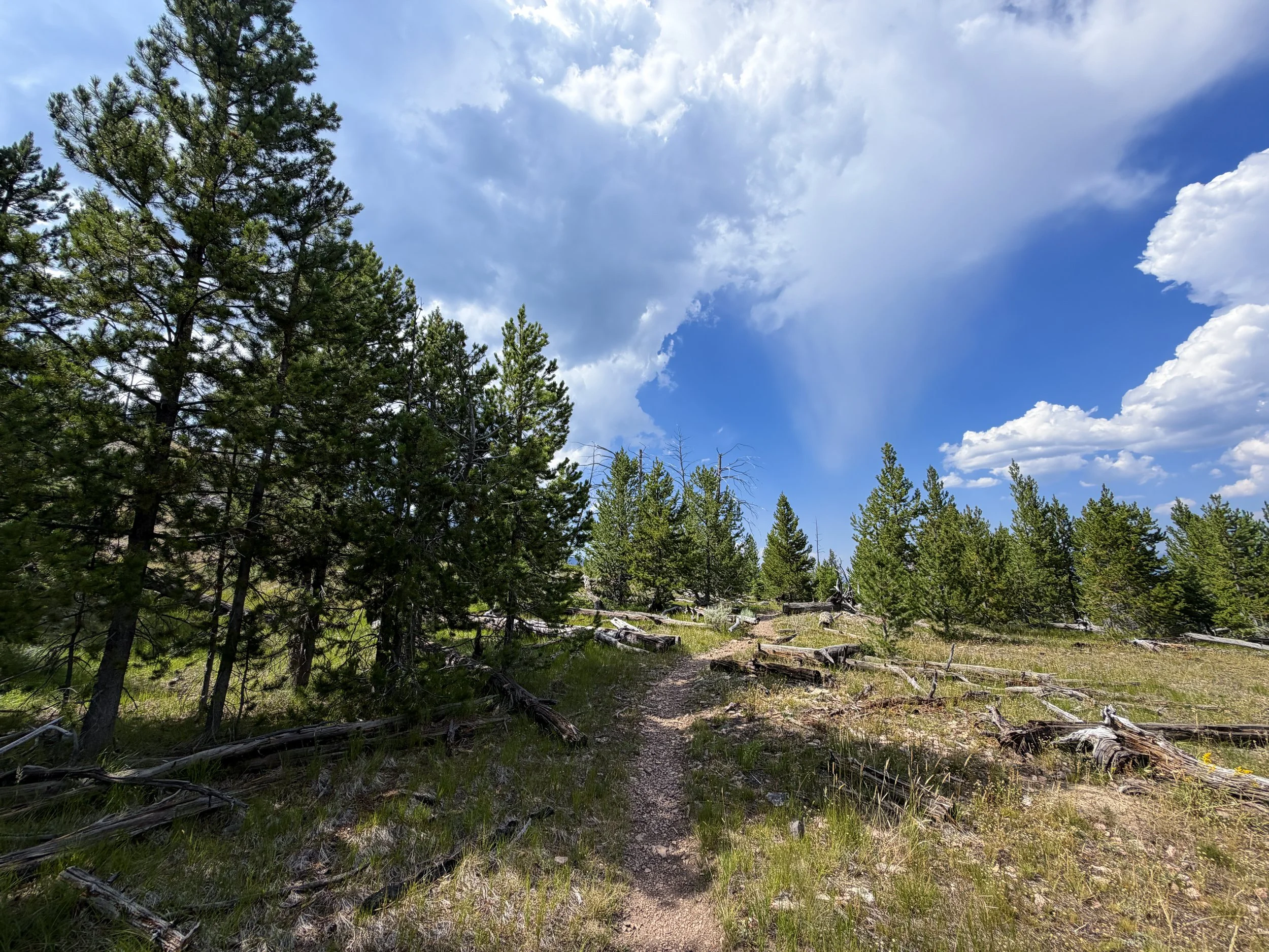 Bunsen Peak Trail Yellowstone National Park Wyoming