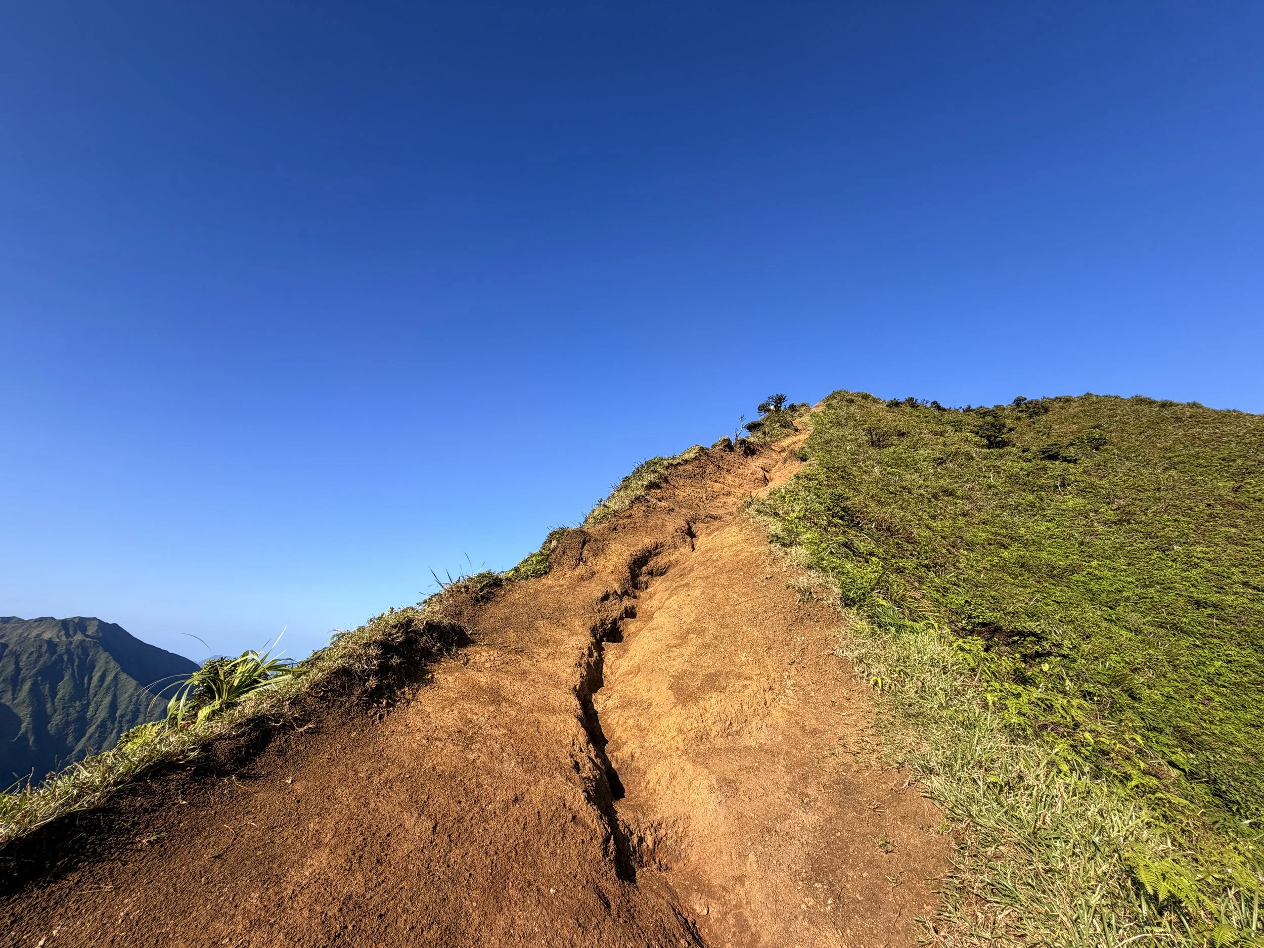 Moanalua Middle Ridge Trail Stairway to Heaven Ropes Oahu Hawaii