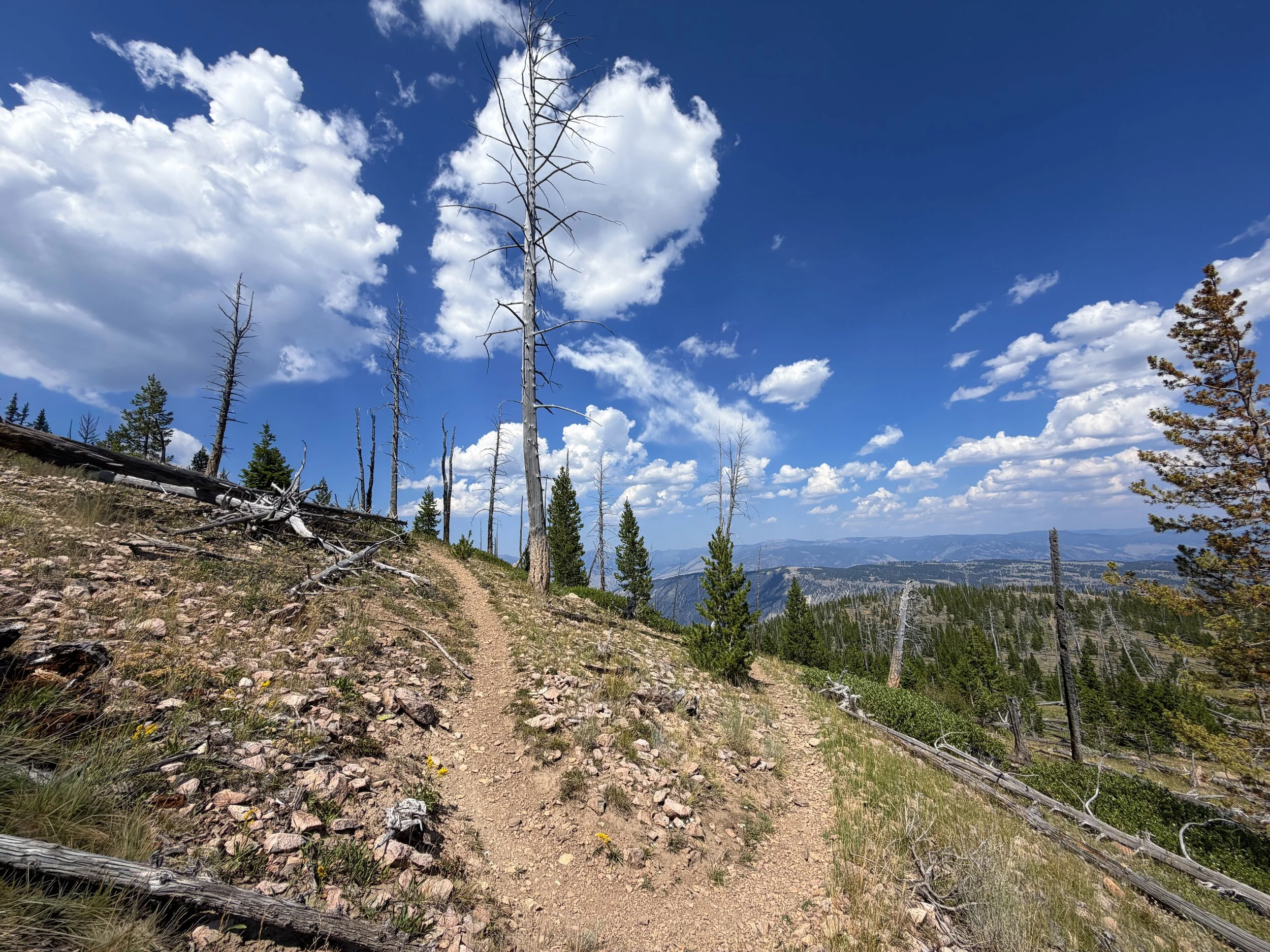 Bunsen Peak Loop Trail Yellowstone National Park Wyoming