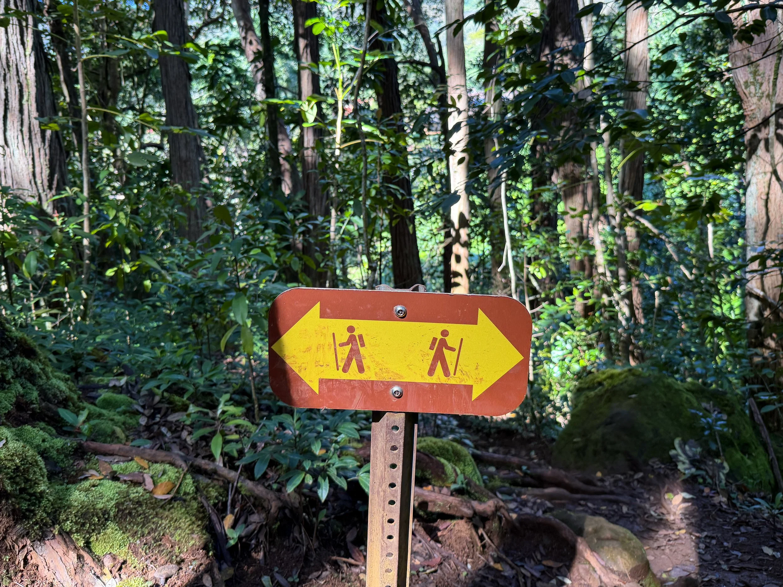 Judd Trail Oahu Hawaii
