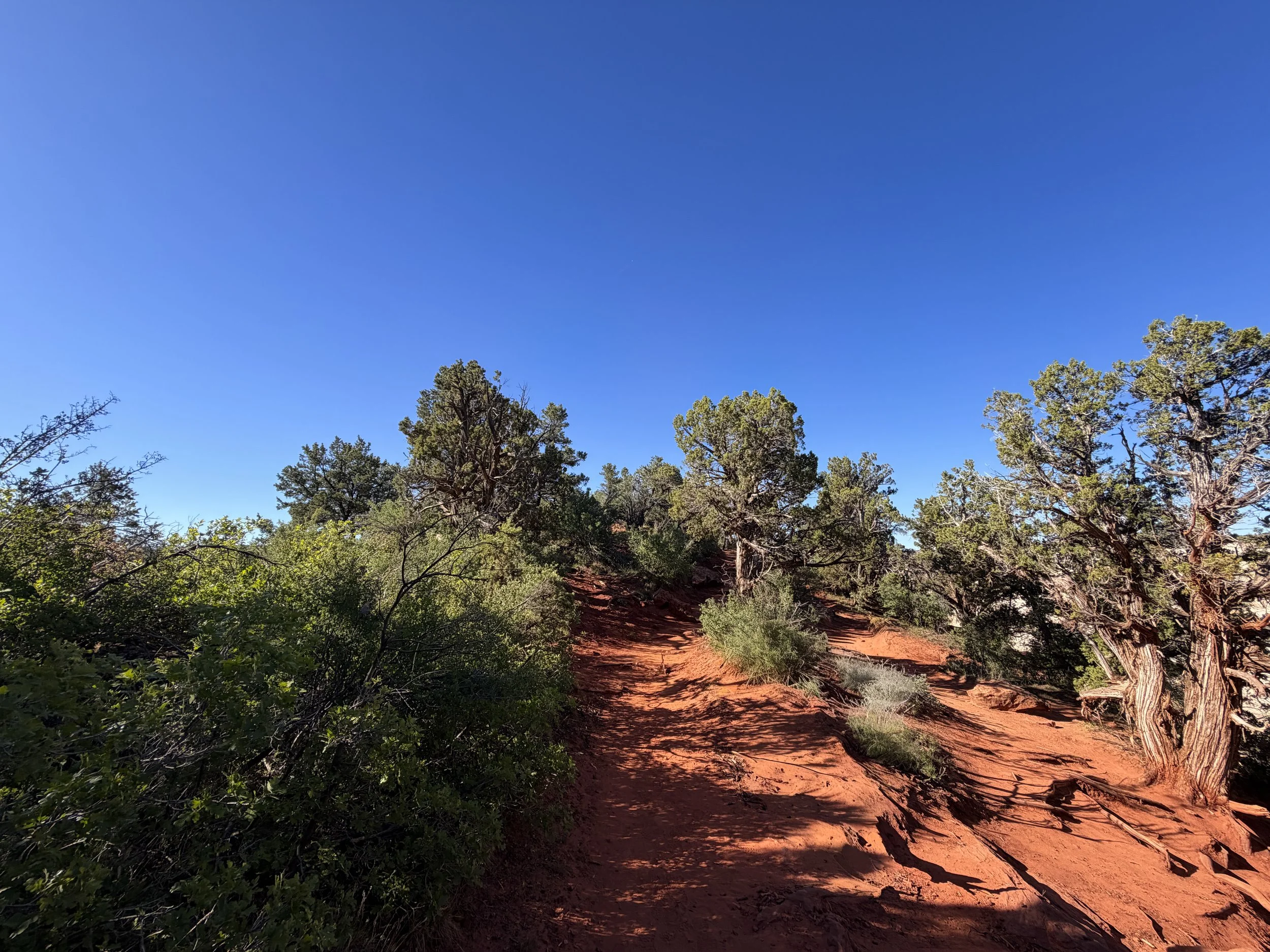 Observation Point Trail Zion National Park Utah