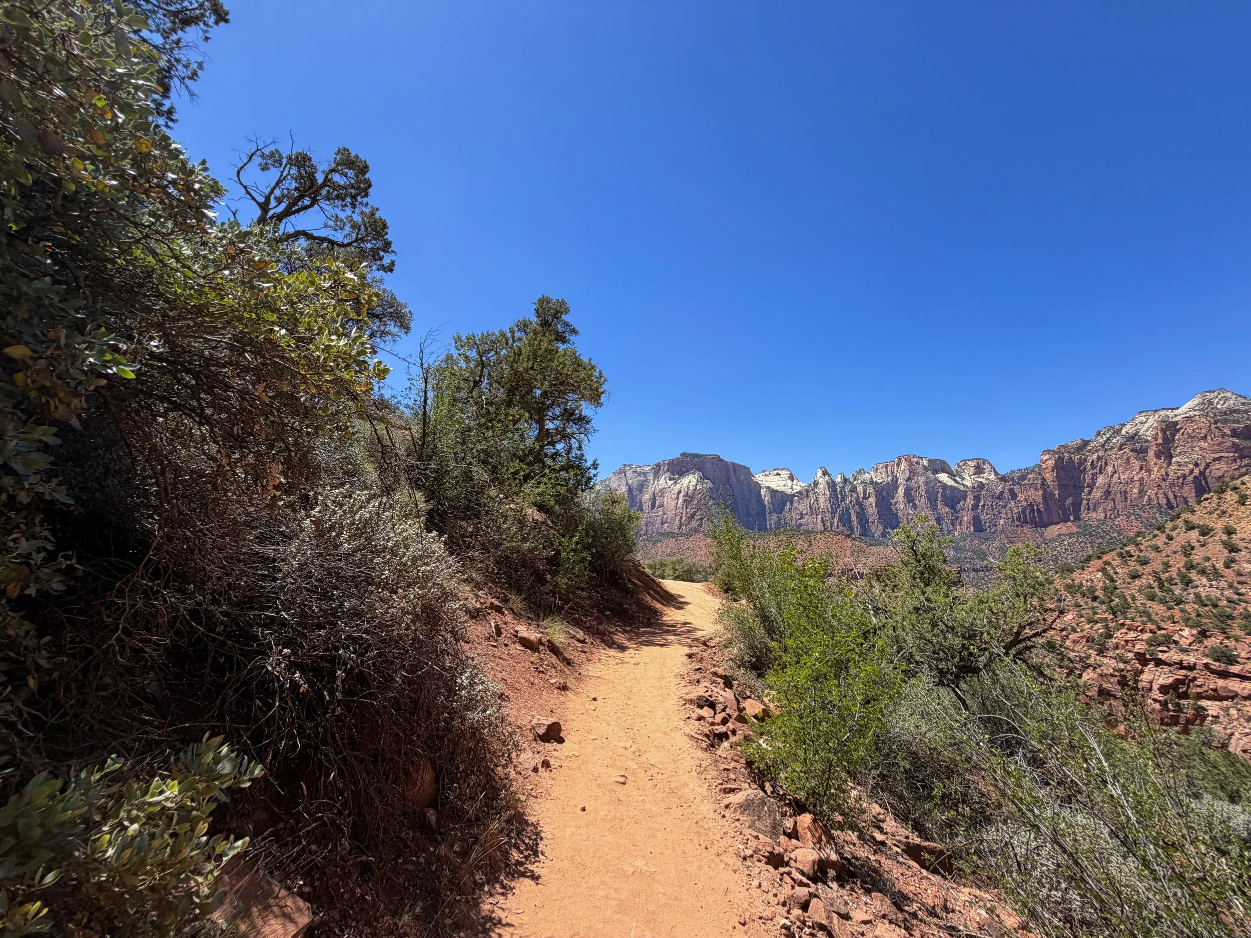 Watchman Trail Zion National Park Utah