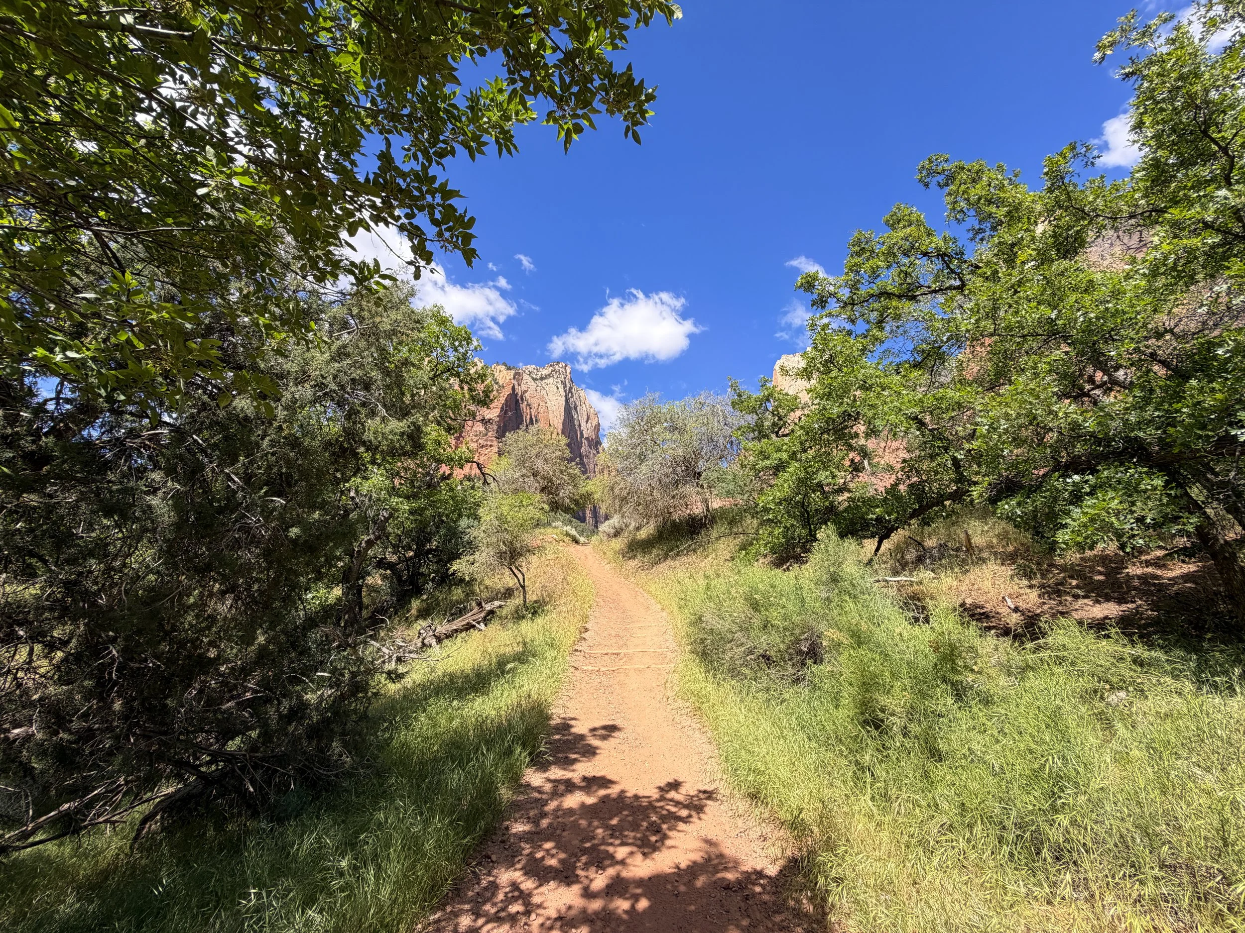 Sand Bench Trail Zion National Park Utah