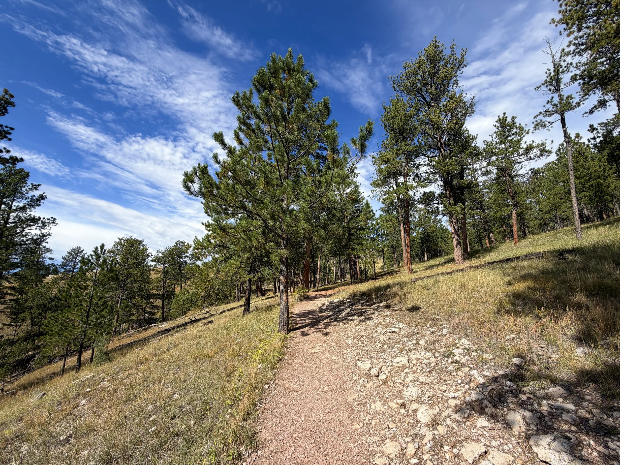 Roof Loop Trail Jewel Cave National Monument Black Hills South Dakota
