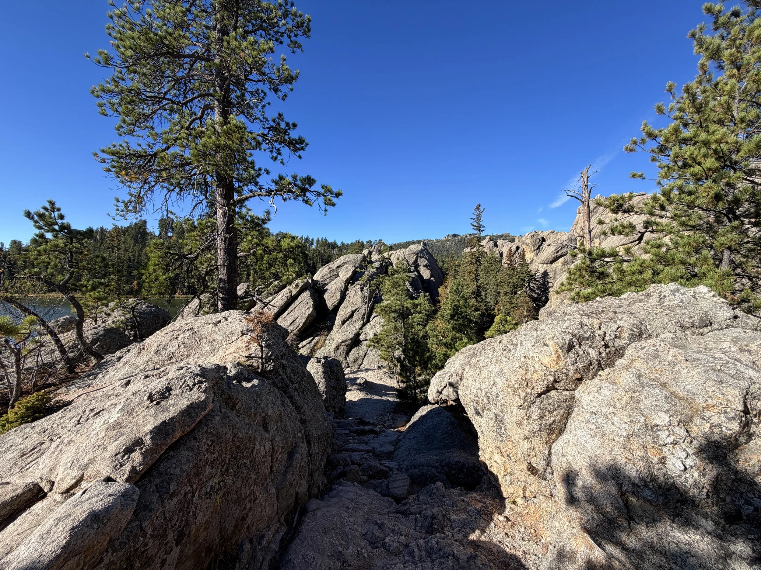 Sylvan Lake to Sunday Gulch Trail Custer State Park Black Hills South Dakota