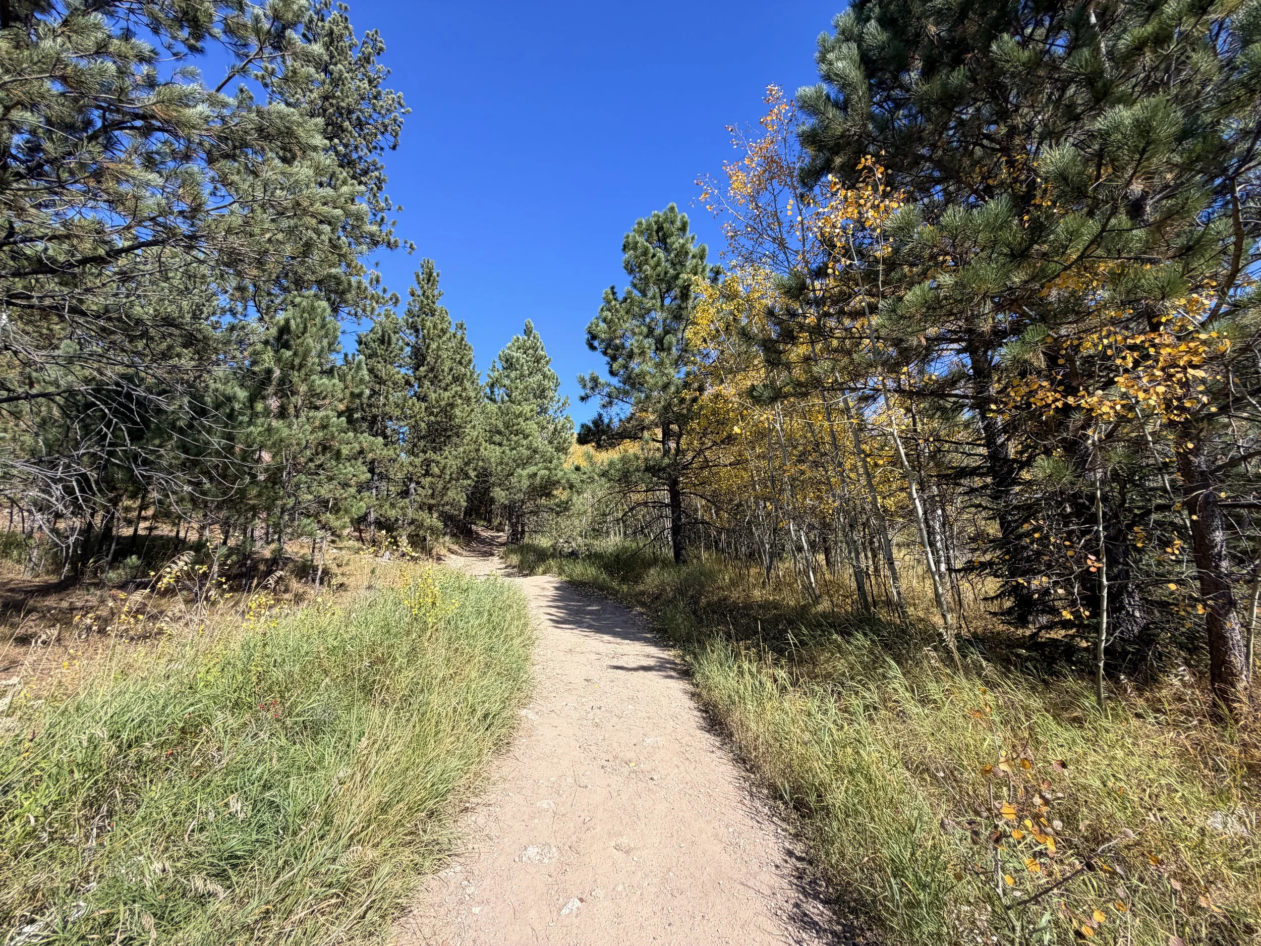 Black Elk Peak Trail Custer State Park Black Hills South Dakota