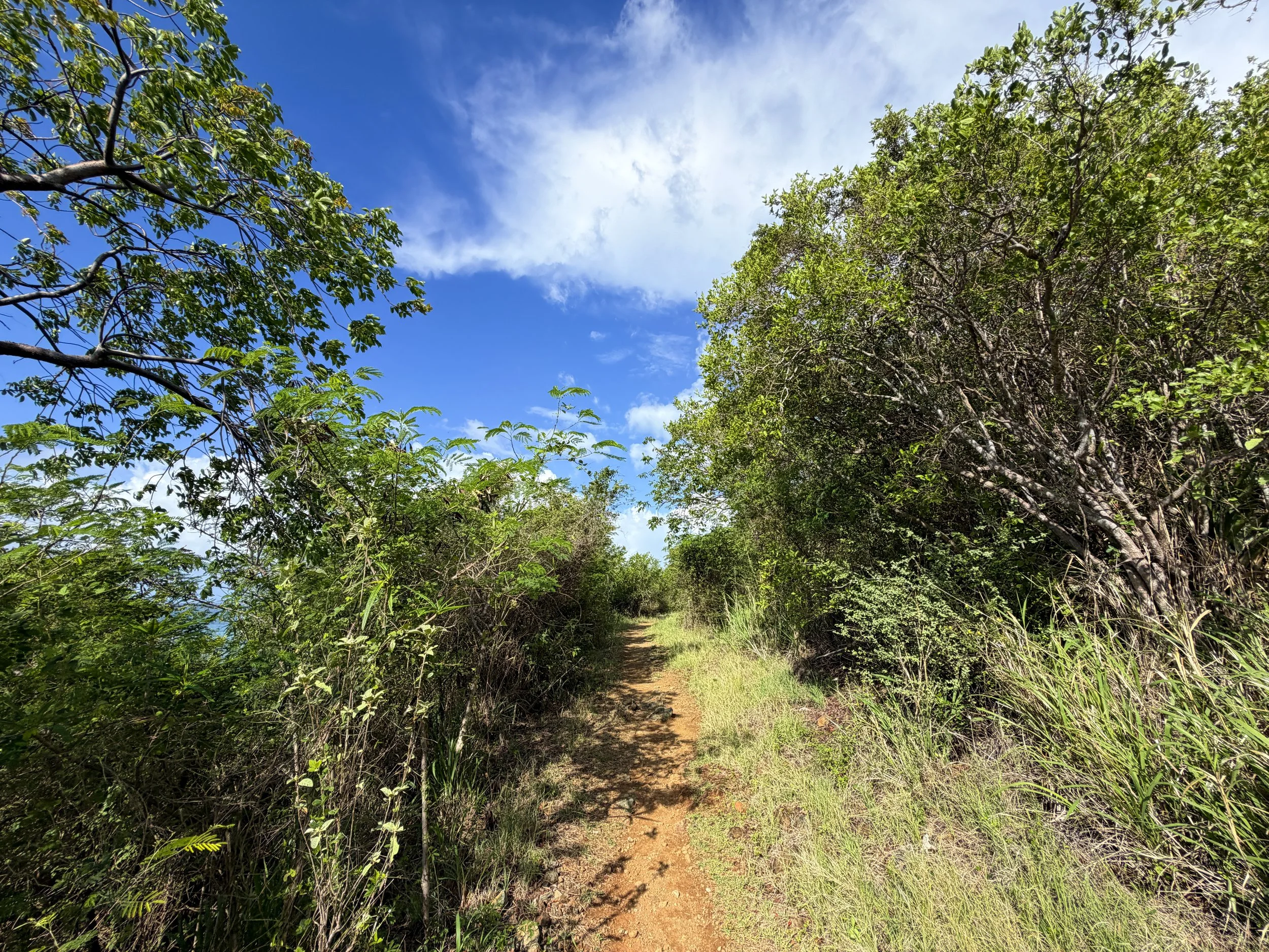 Lind Point Hike Virgin Islands National Park