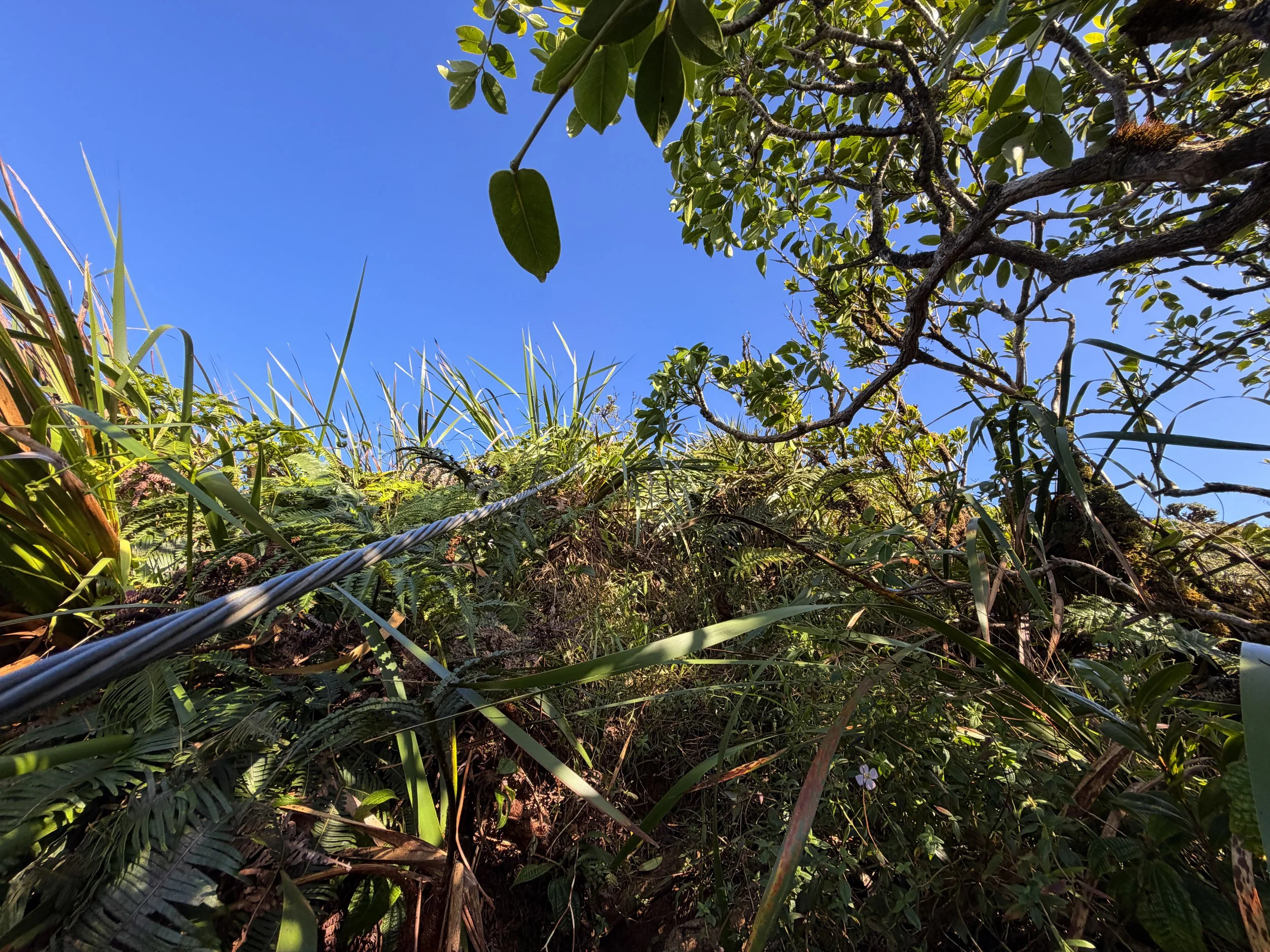 Moanalua Saddle to Stairway to Heaven Koolau Summit Trail Oahu Hawaii