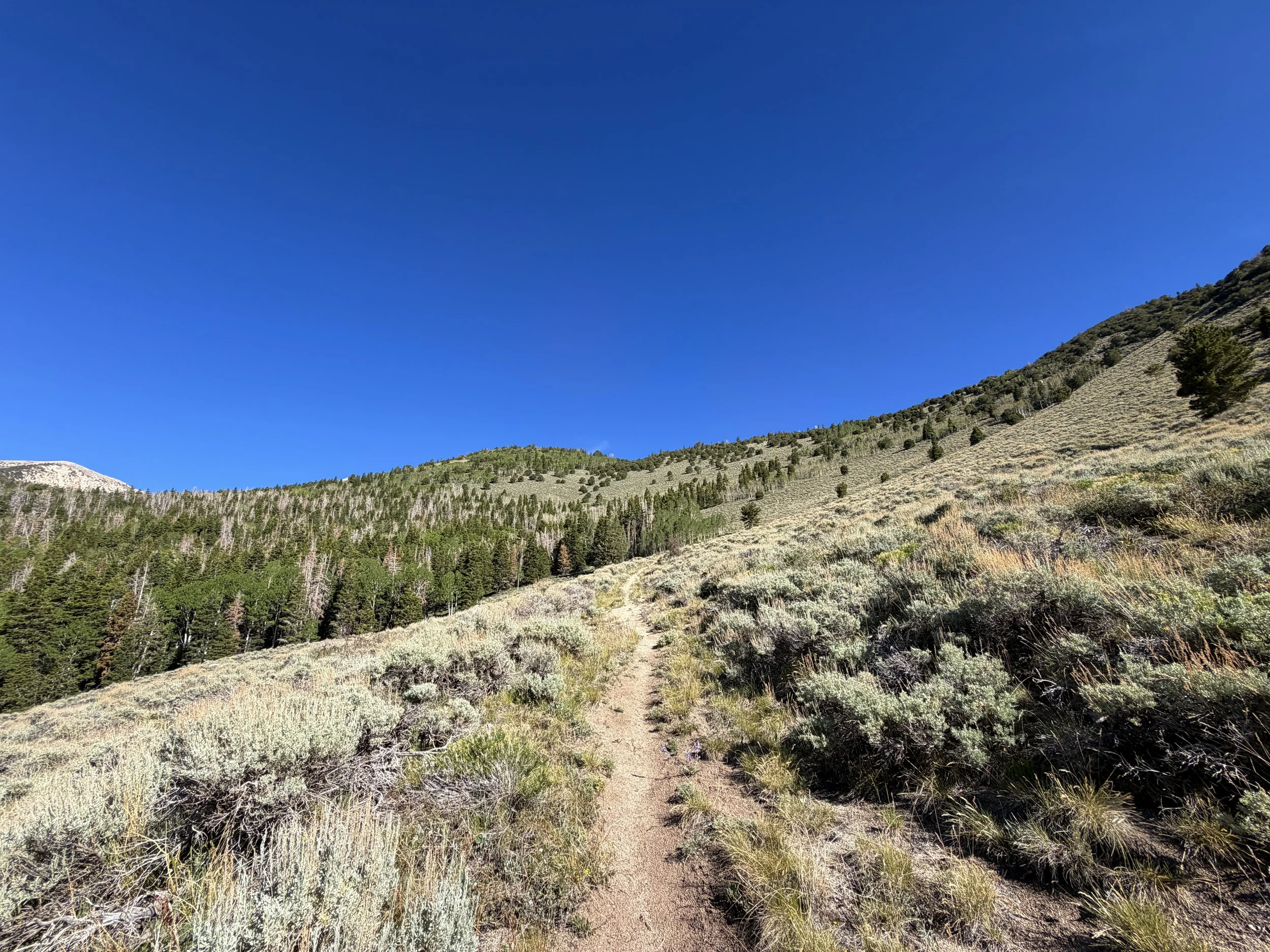 Johnson Lake Hike Great Basin National Park Nevada