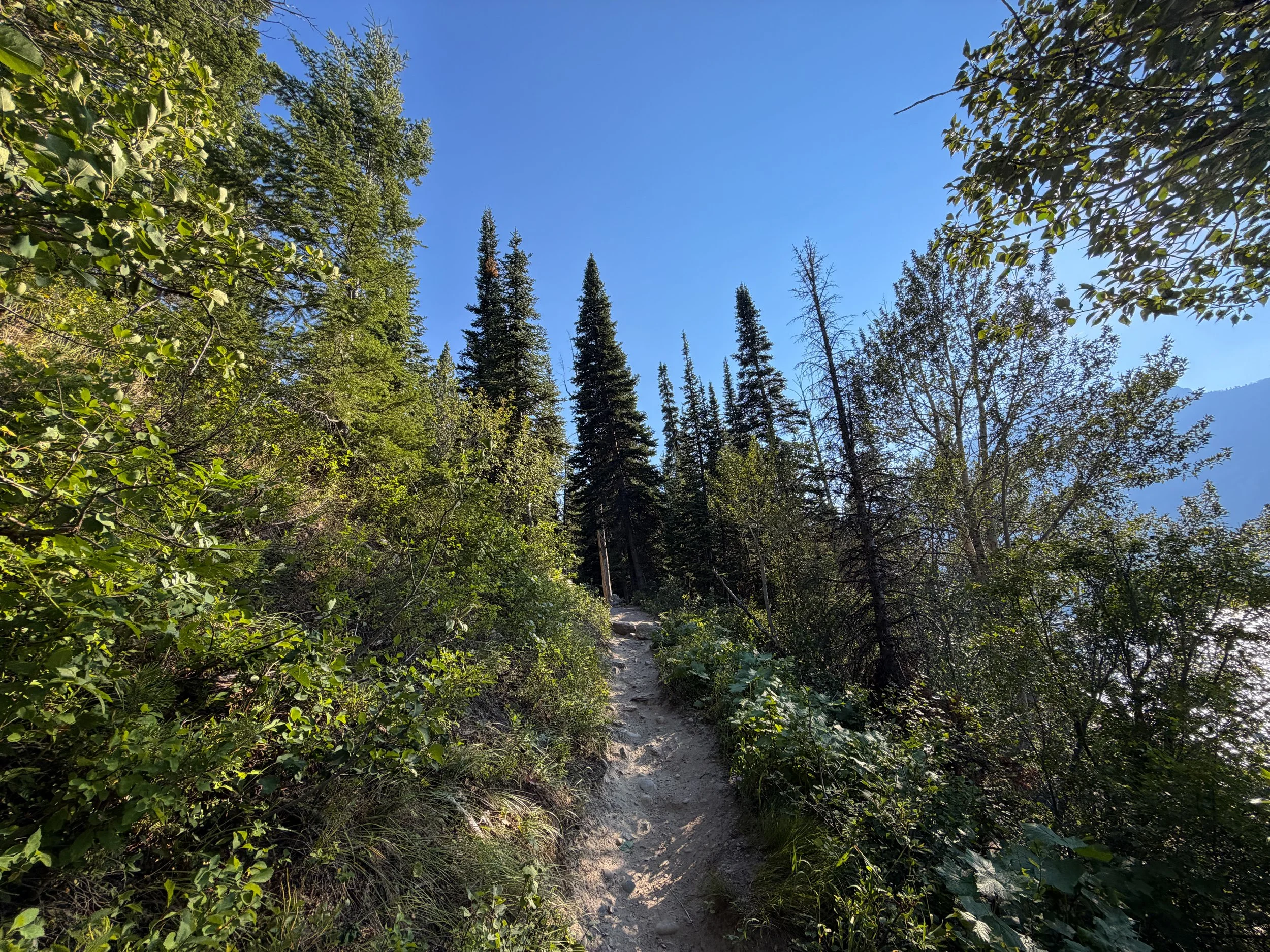 Jenny Lake Loop Trail Grand Teton National Park Wyoming