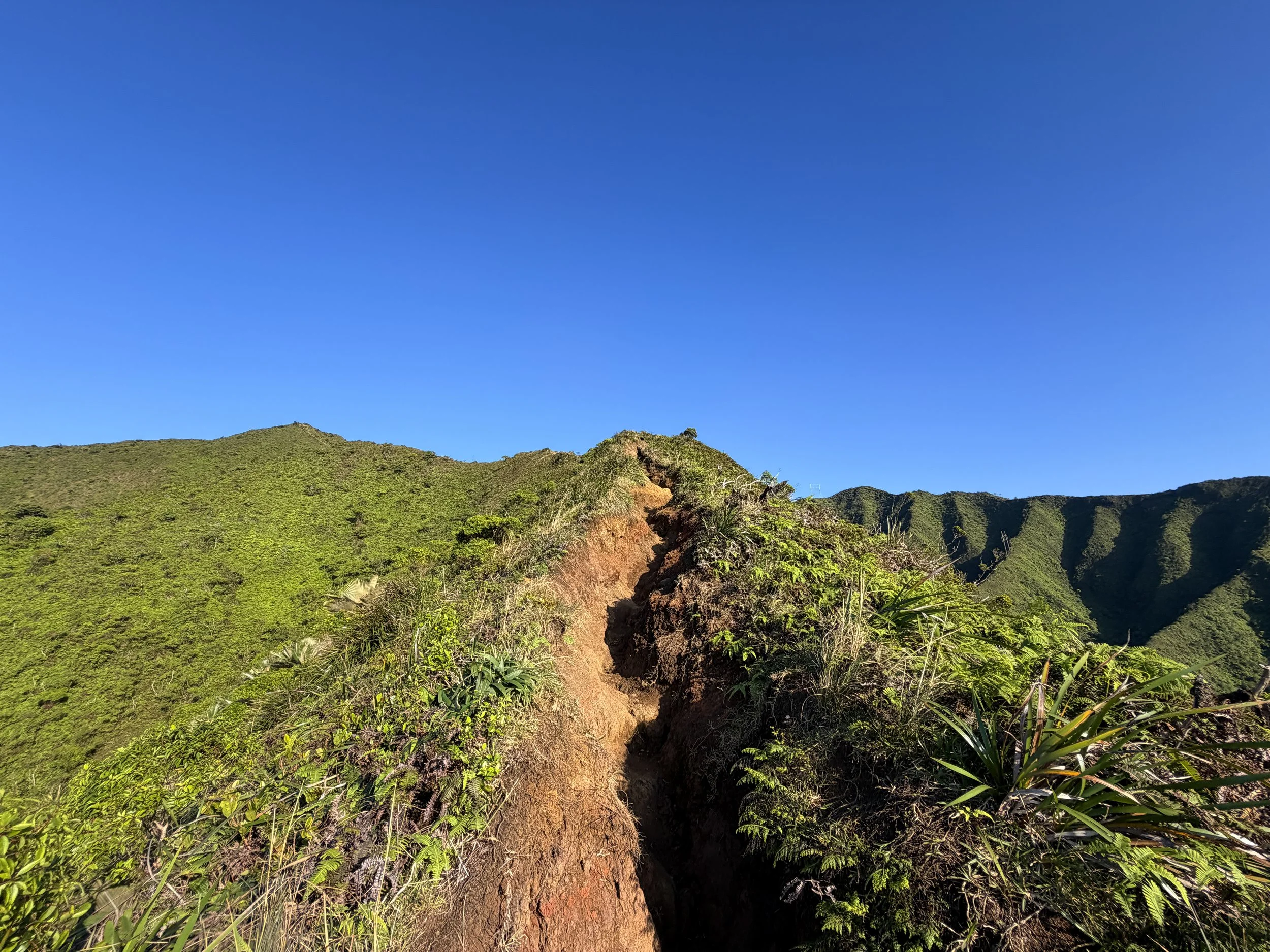 Moanalua Middle Ridge Trail Back Way to the Stairway to Heaven Oahu Hawaii