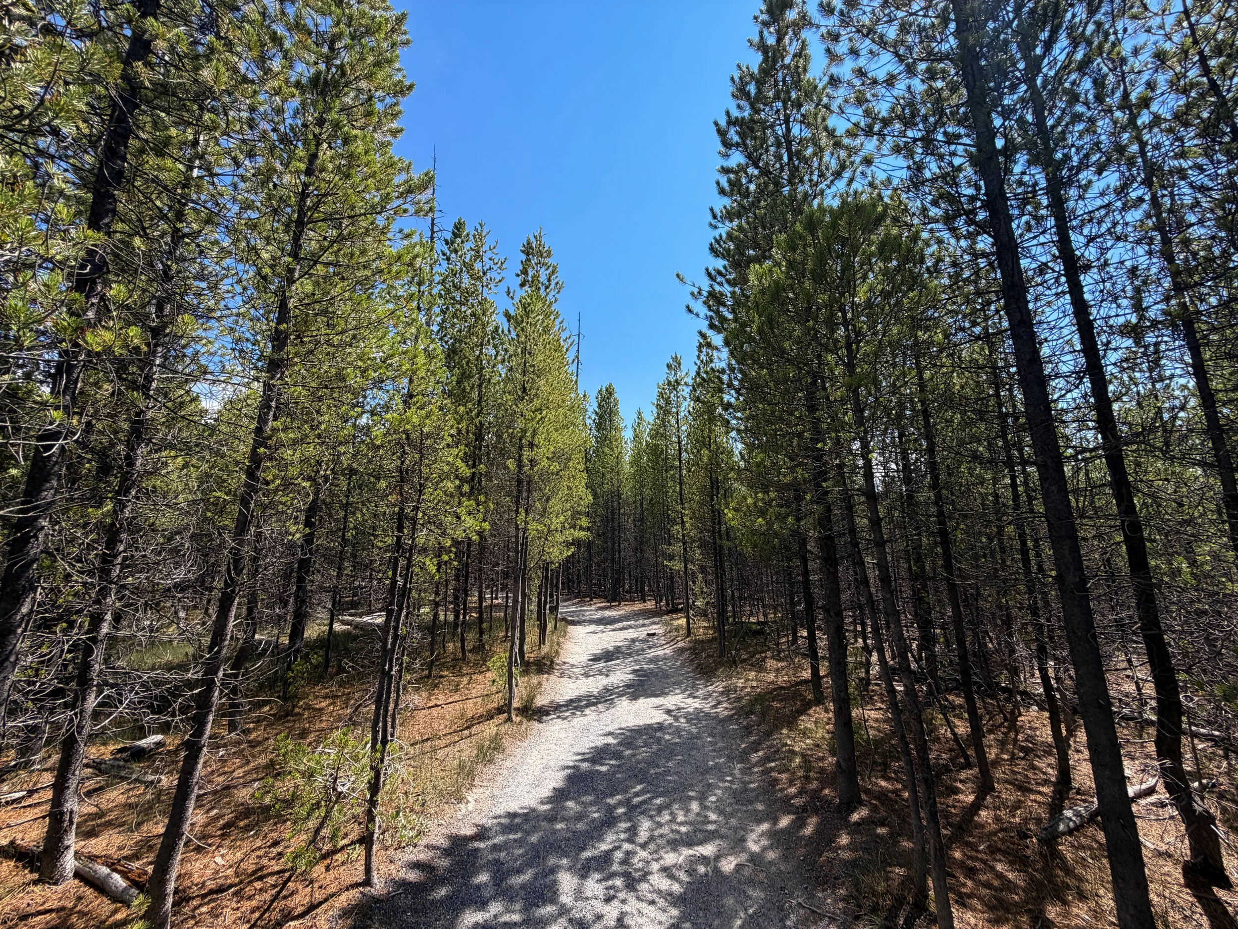 Artists Paintpots Trail Yellowstone National Park Wyoming