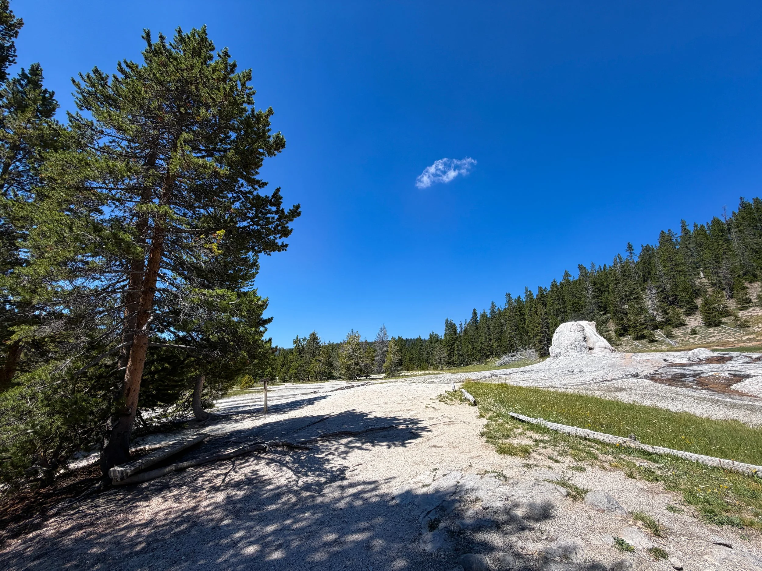 Lone Star Geyser Trail Yellowstone National Park Wyoming
