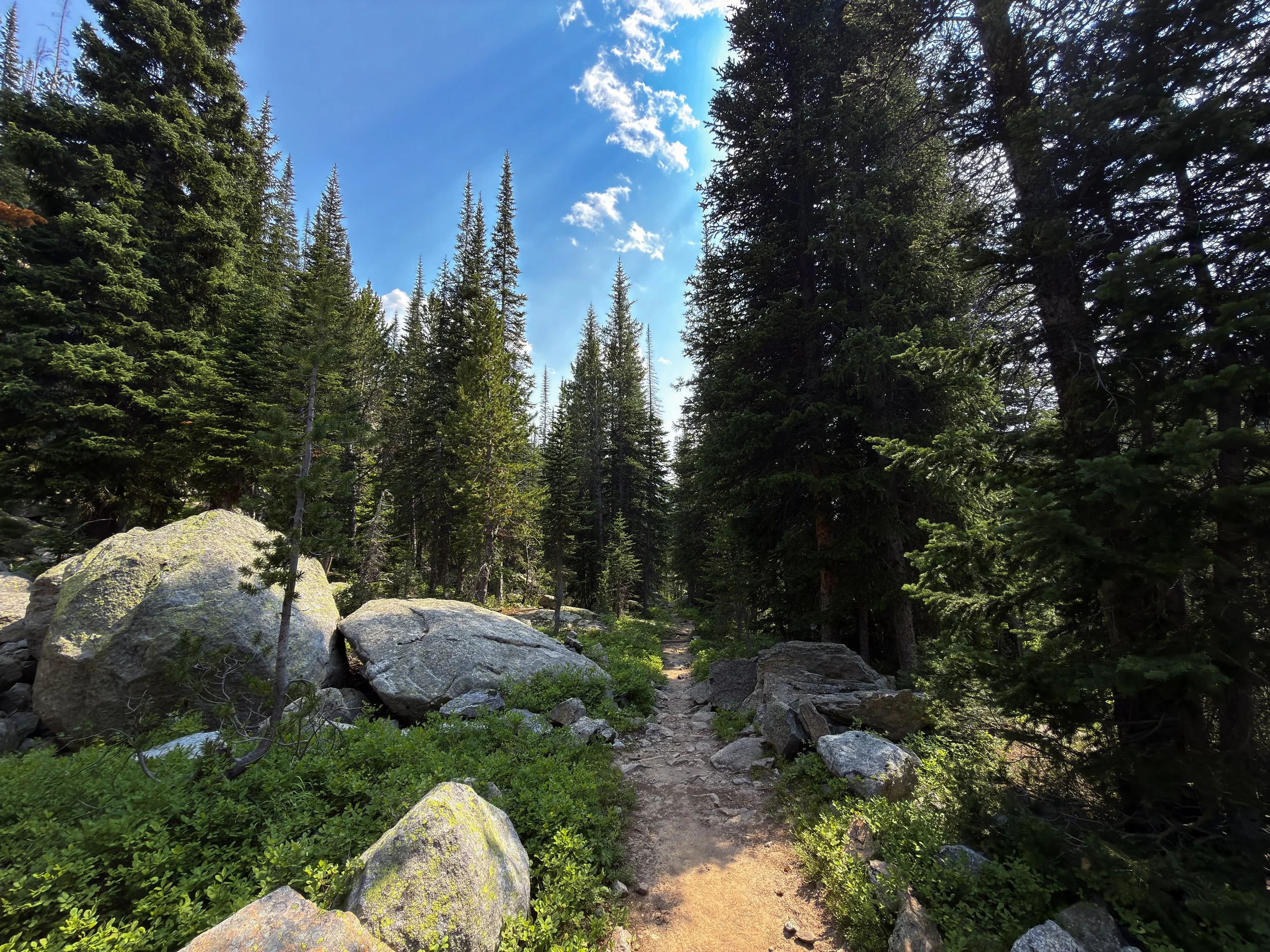 Russell Creek Trail The Beaten Path Beartooth Mountains Montana