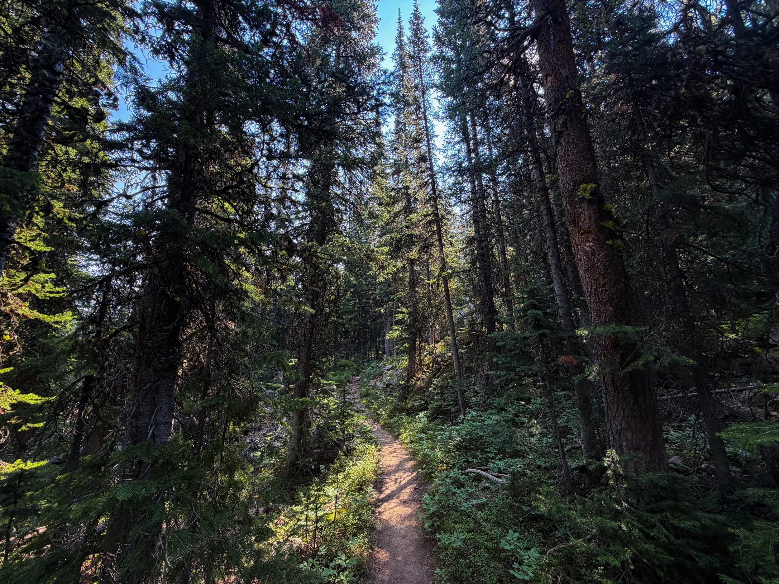 East Rosebud Trail The Beaten Path Beartooth Mountains Montana