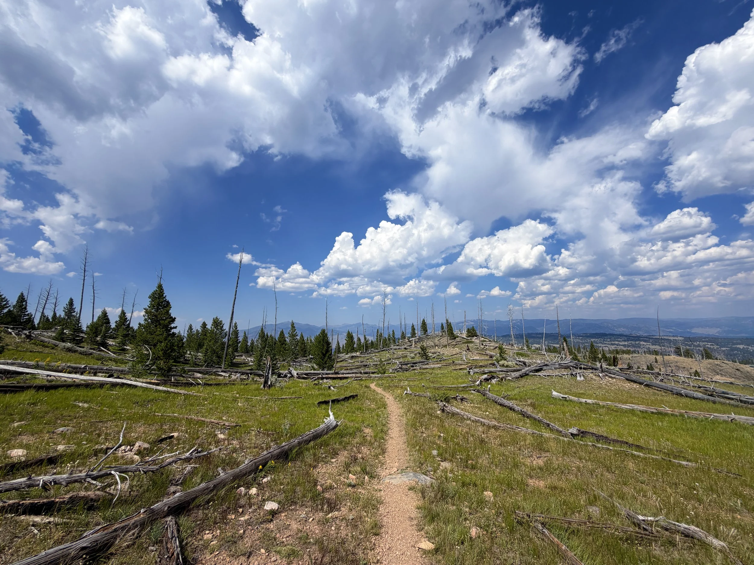 Bunsen Peak Trail to Osprey Falls Yellowstone National Park Wyoming