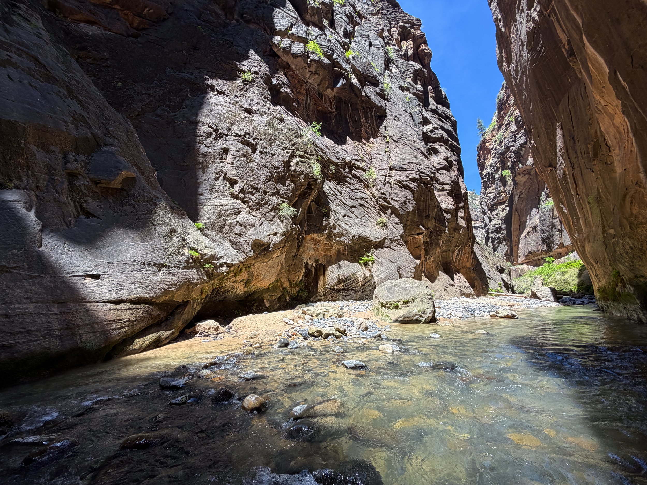 Wall Street Narrows Hike Zion National Park Utah