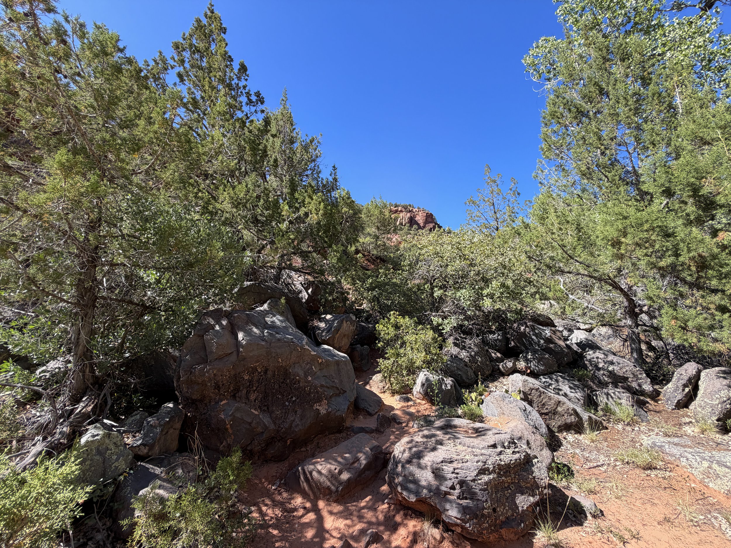 Subway Hike Bottom–Up Route Zion National Park Utah