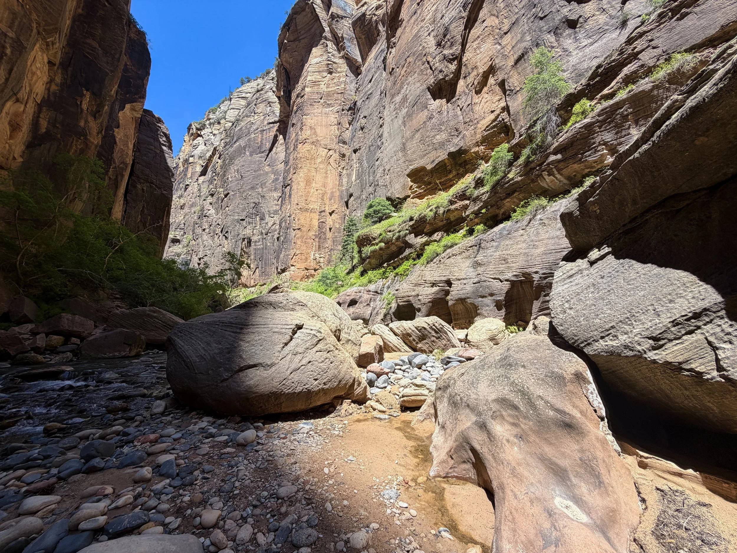 Narrows Bottom-Up to Big Springs Zion National Park Utah