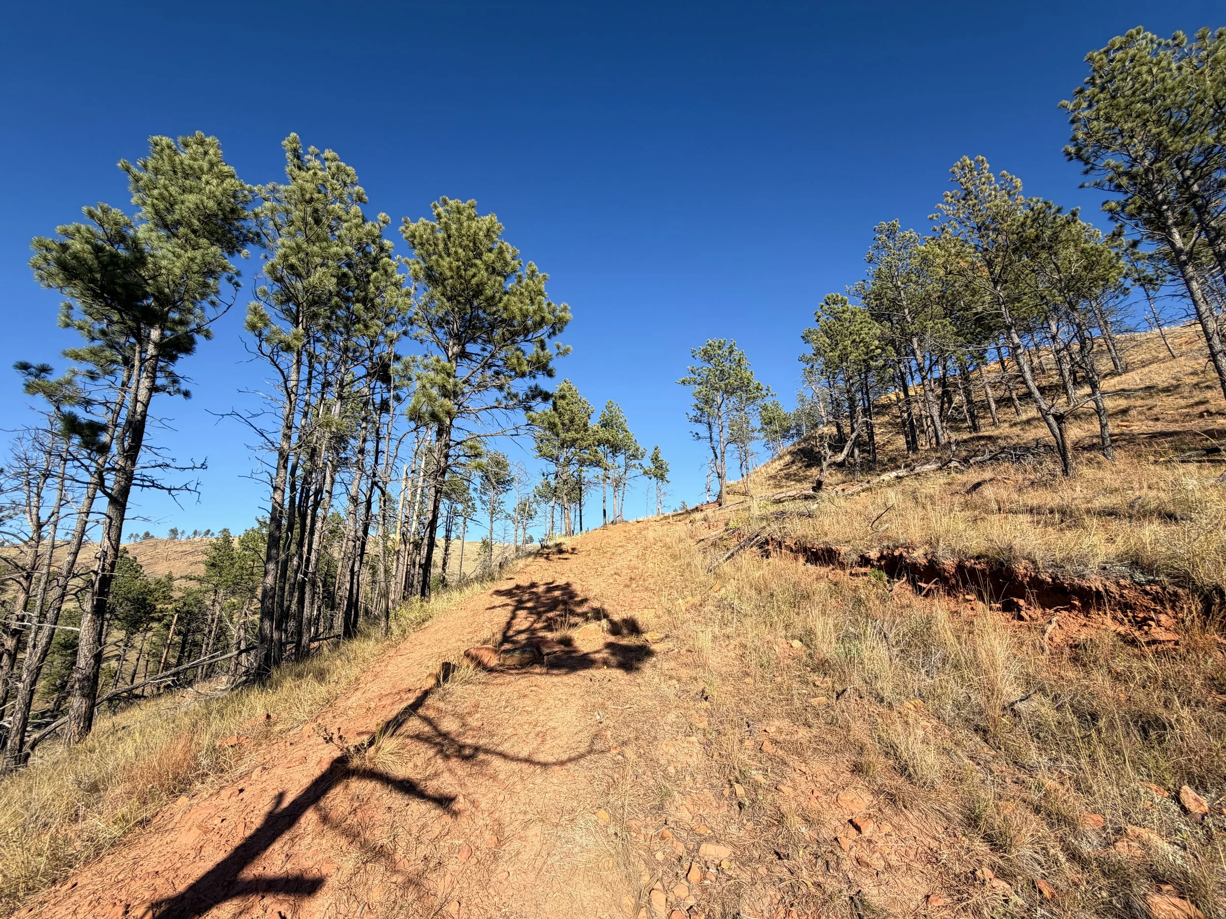 Boland Ridge Hike Wind Cave National Park South Dakota