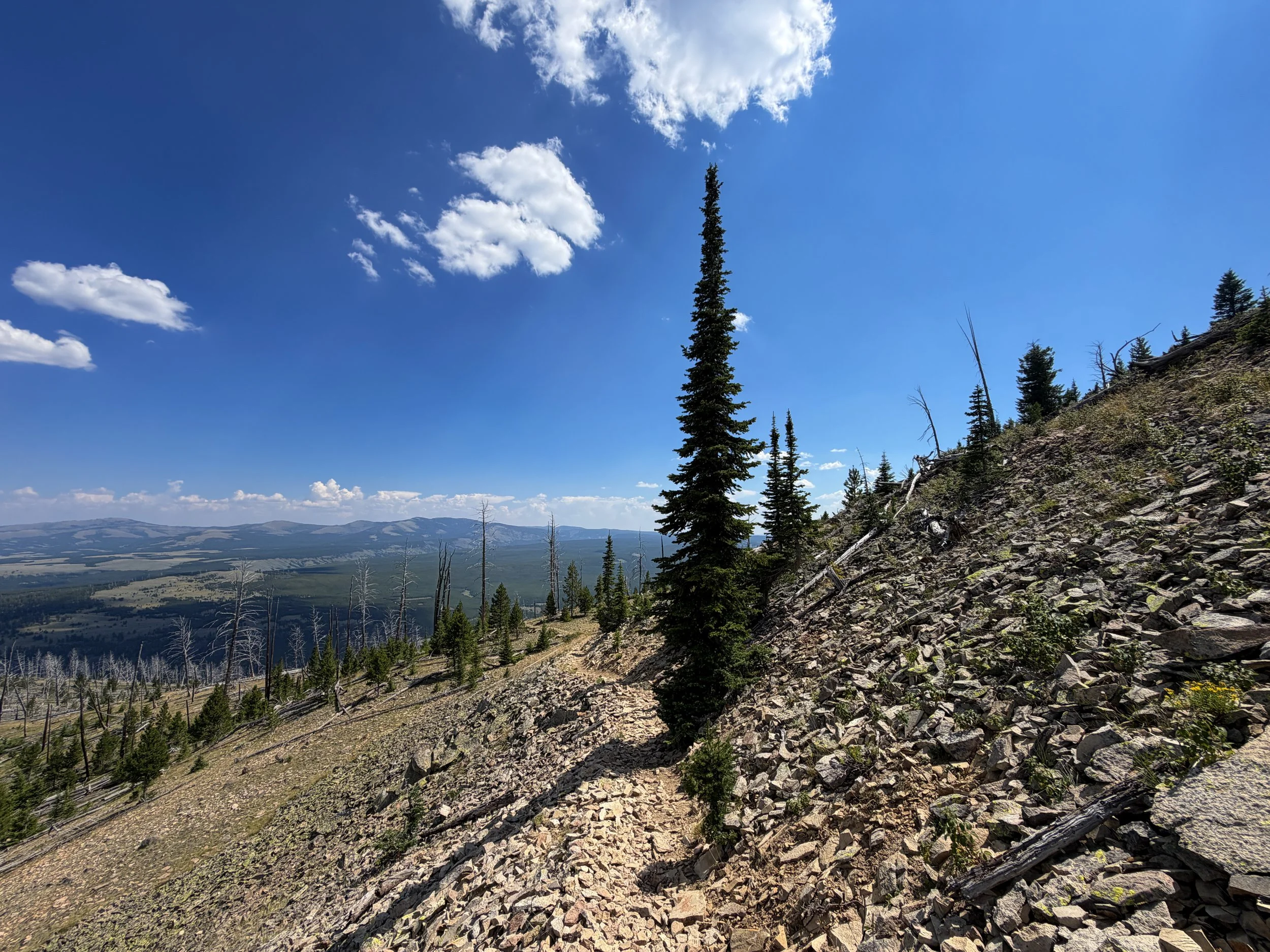 Bunsen Peak Loop Trail Yellowstone National Park Wyoming