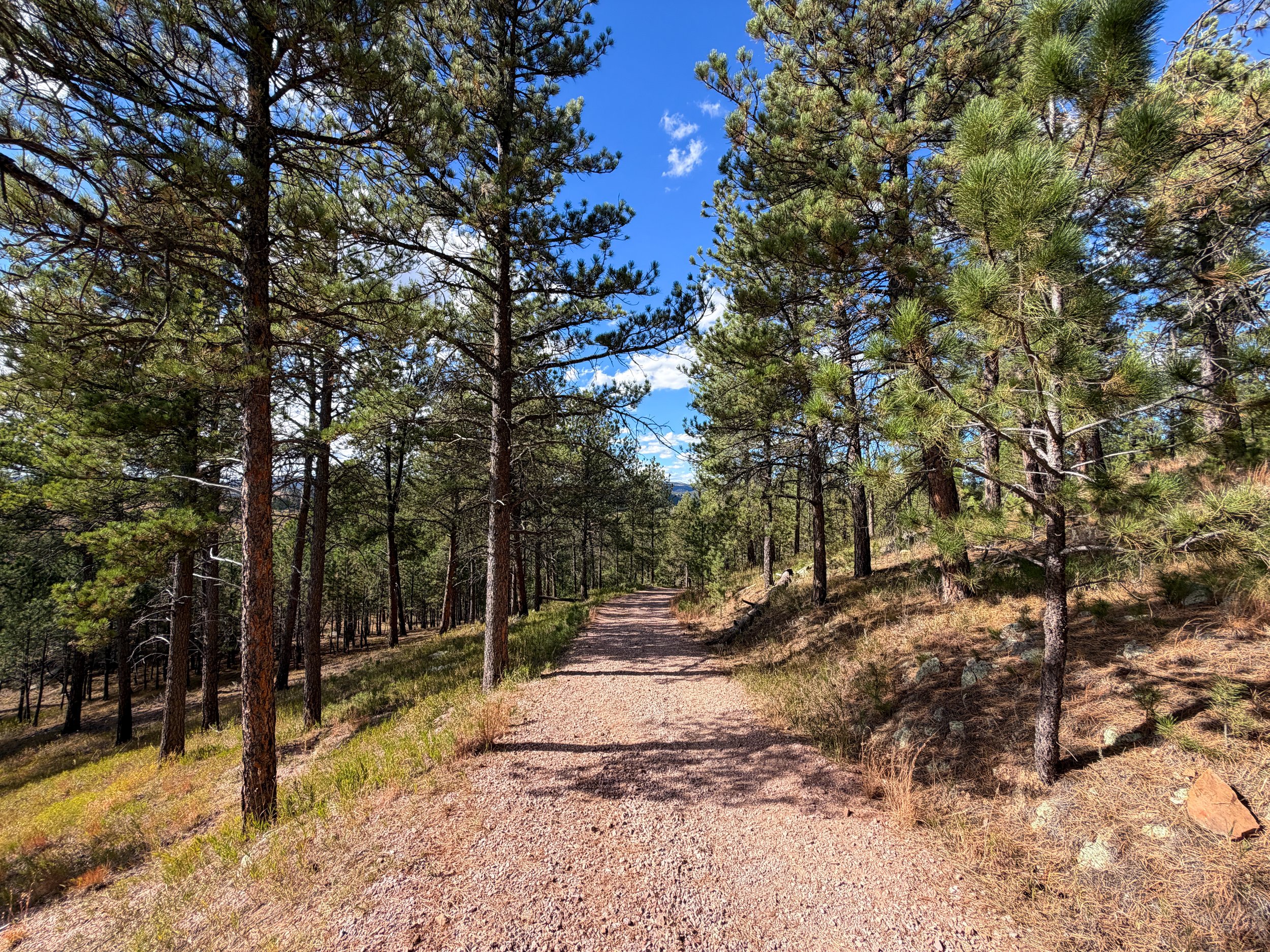 Rankin Ridge Trail Wind Cave National Park South Dakota