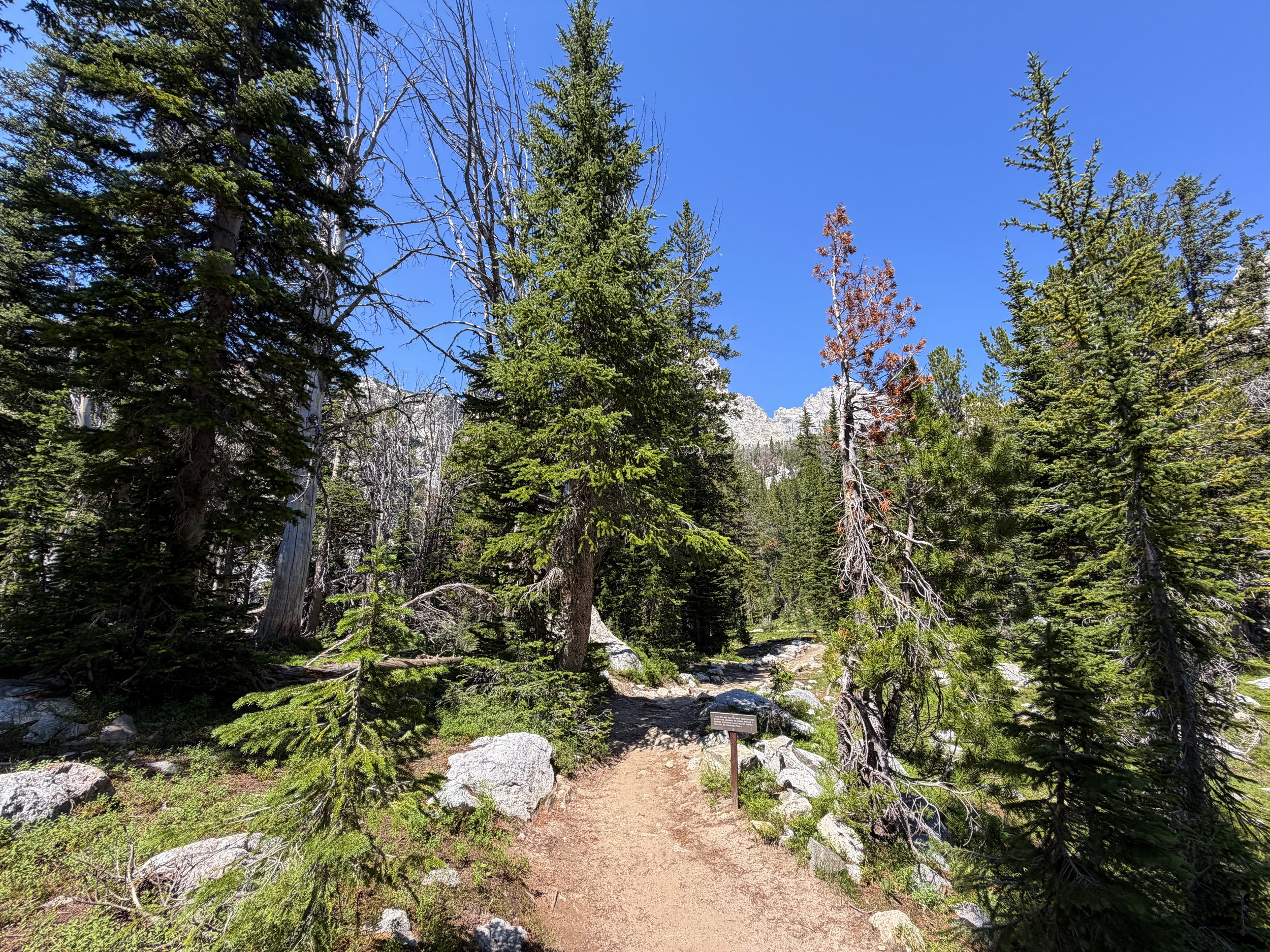 Surprise and Amphitheater Lakes Hike Grand Teton National Park Wyoming