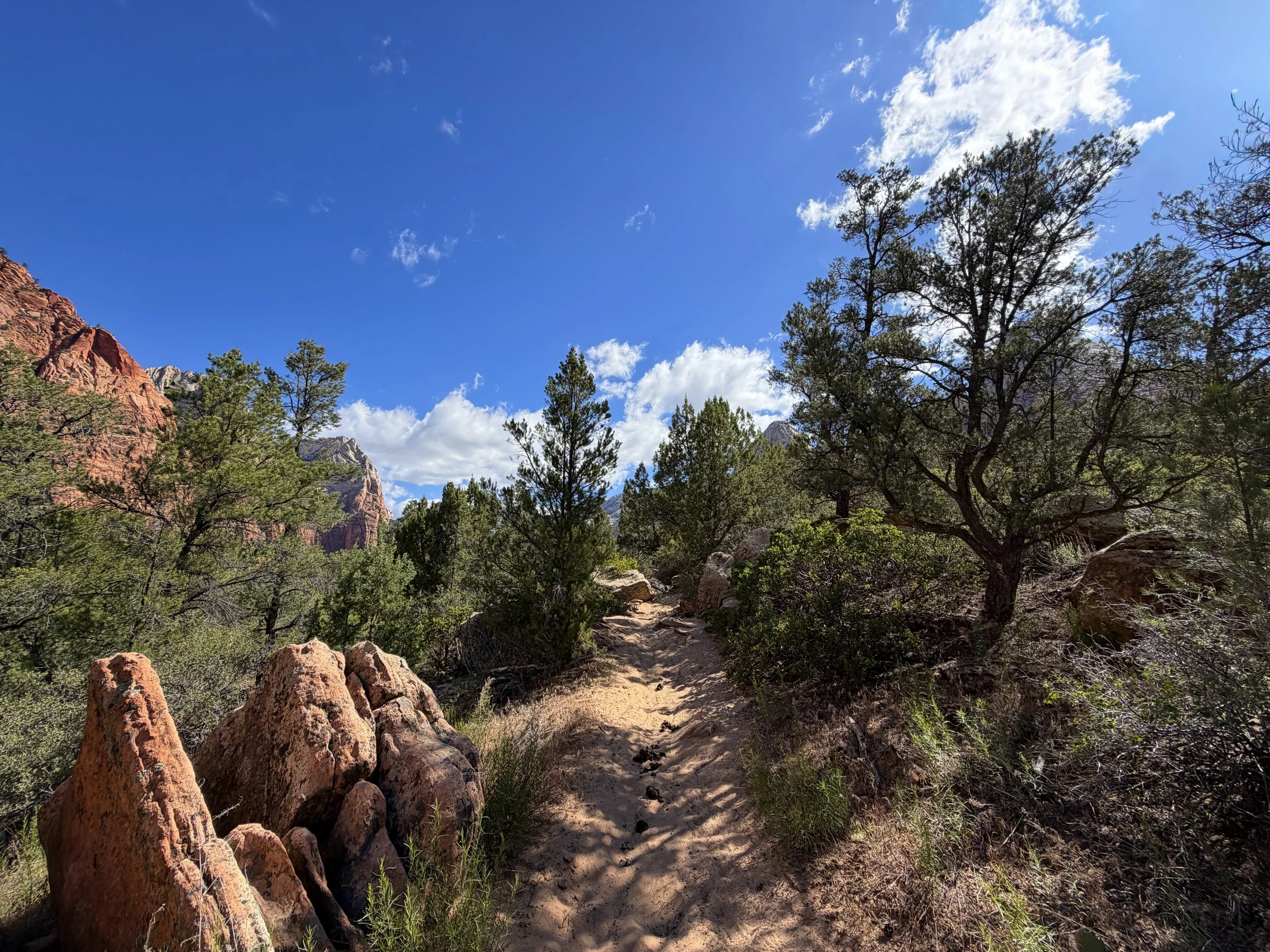 Sand Bench Trail Zion National Park Utah