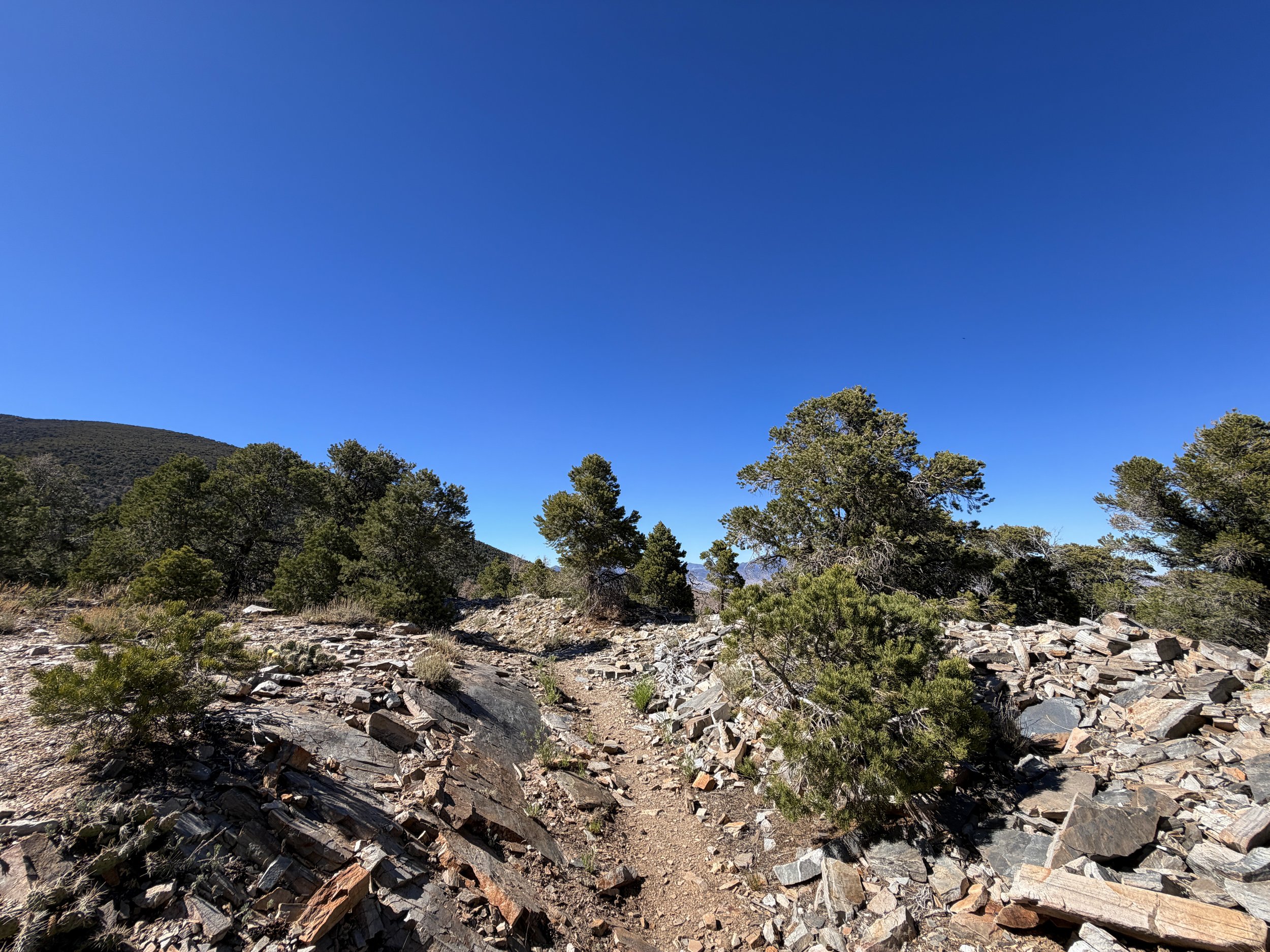 Osceola Ditch Trail Great Basin National Park Nevada