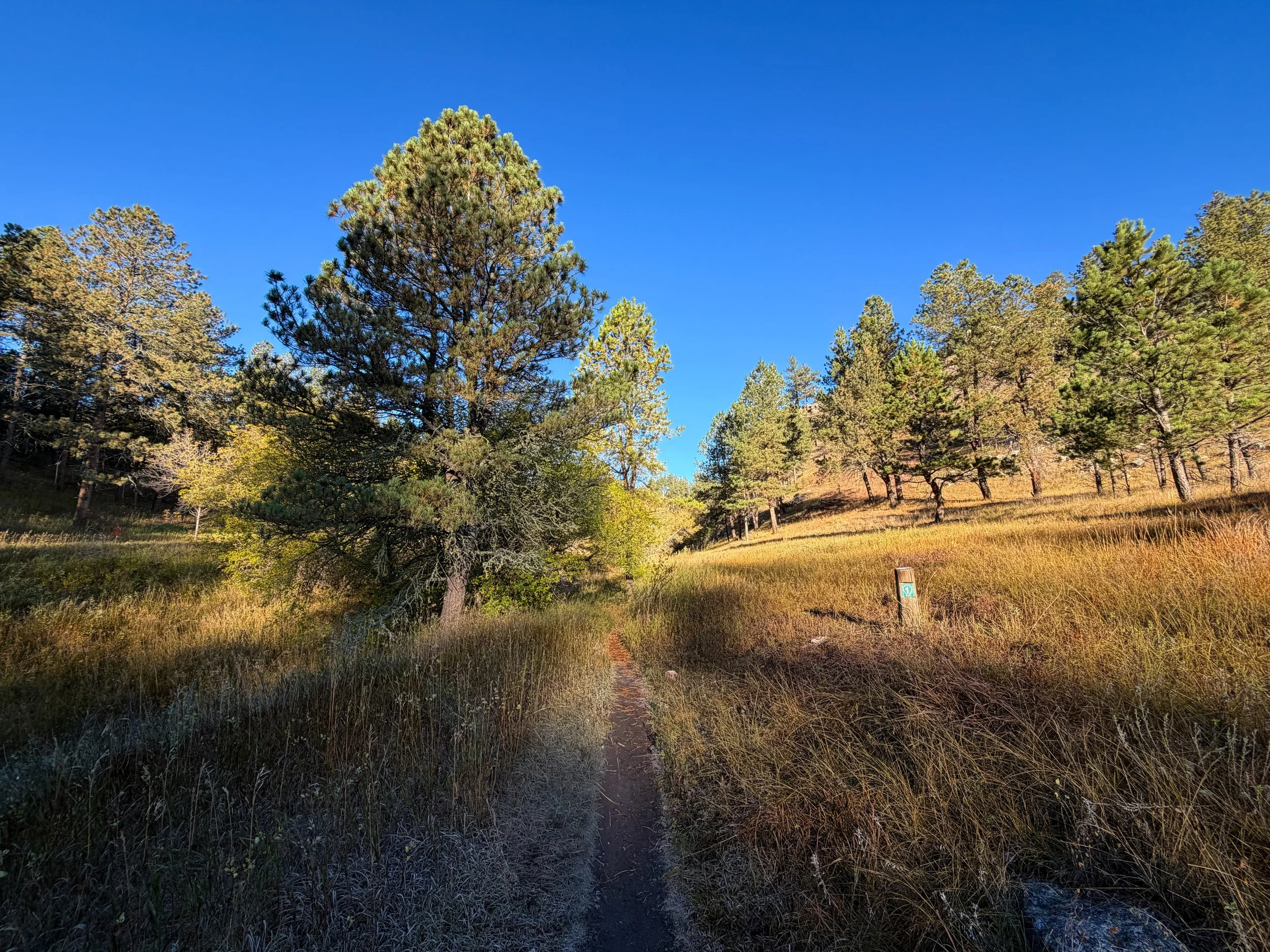 Cold Brook Canyon Trail Wind Cave National Park South Dakota