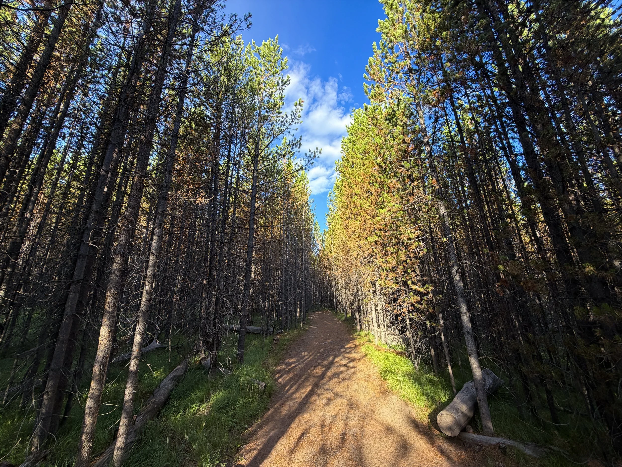 Fairy Falls Hike Yellowstone National Park Wyoming