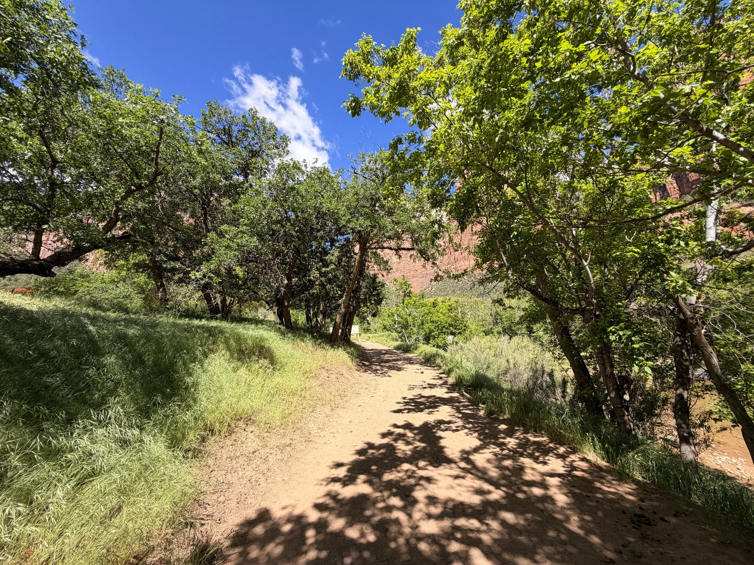 Sand Bench Trail Zion National Park Utah