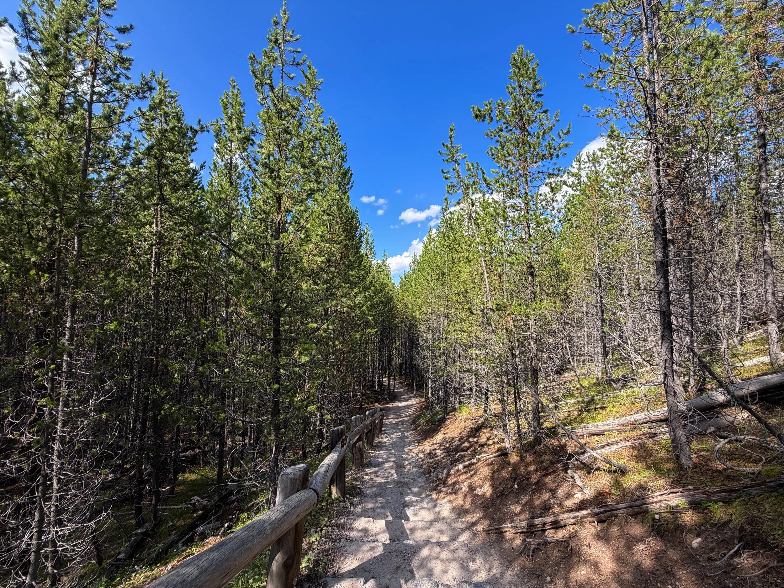 Artists Paintpots Trail Yellowstone National Park Wyoming