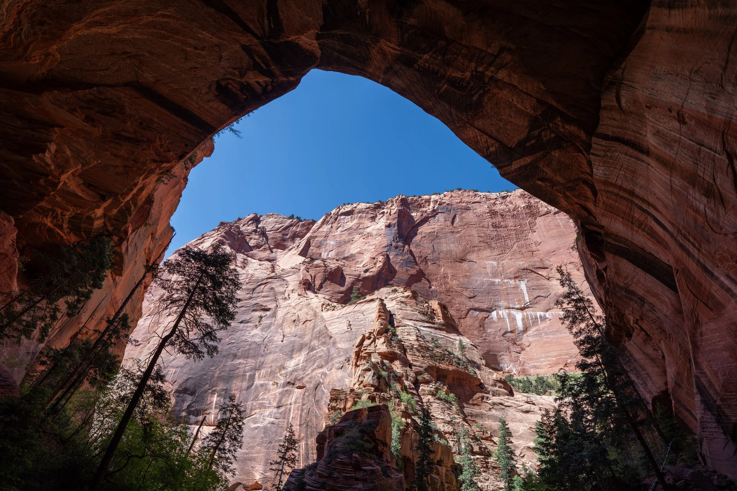 Double Arch Alcove Taylor Creek Trail Zion National Park Utah