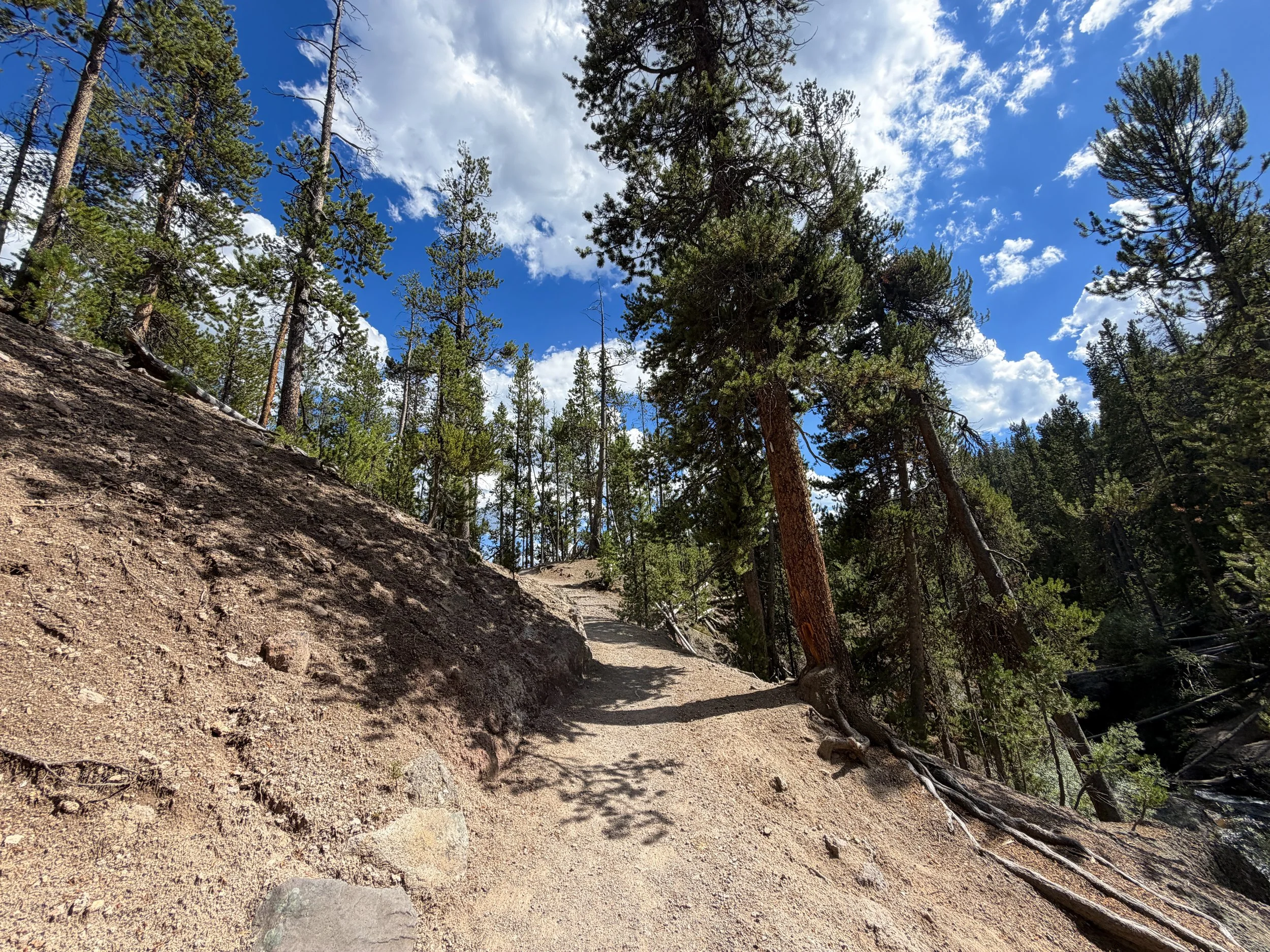 North Rim Trail Yellowstone National Park Wyoming