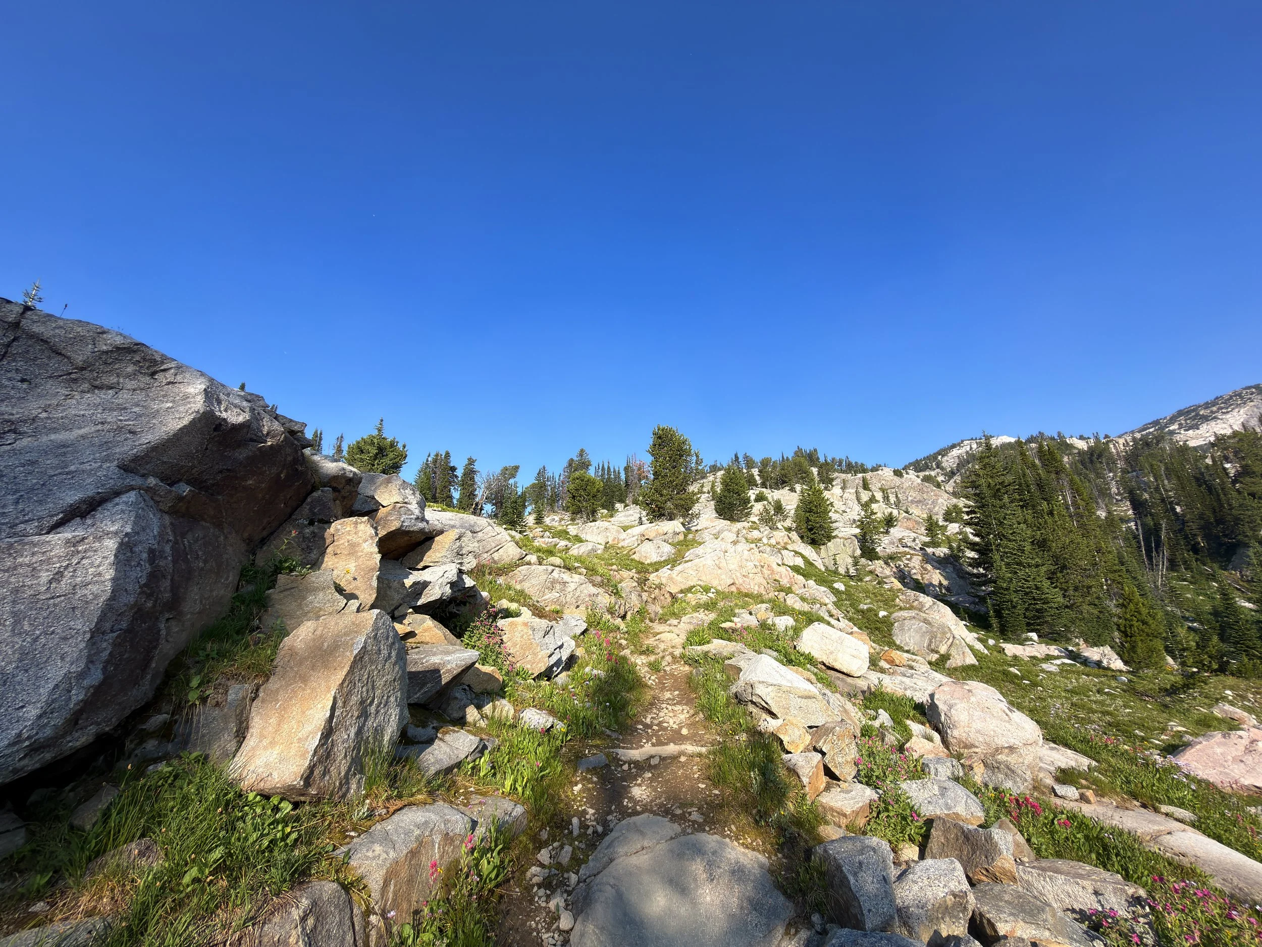 Beaten Path Trail Beartooth Mountains Montana