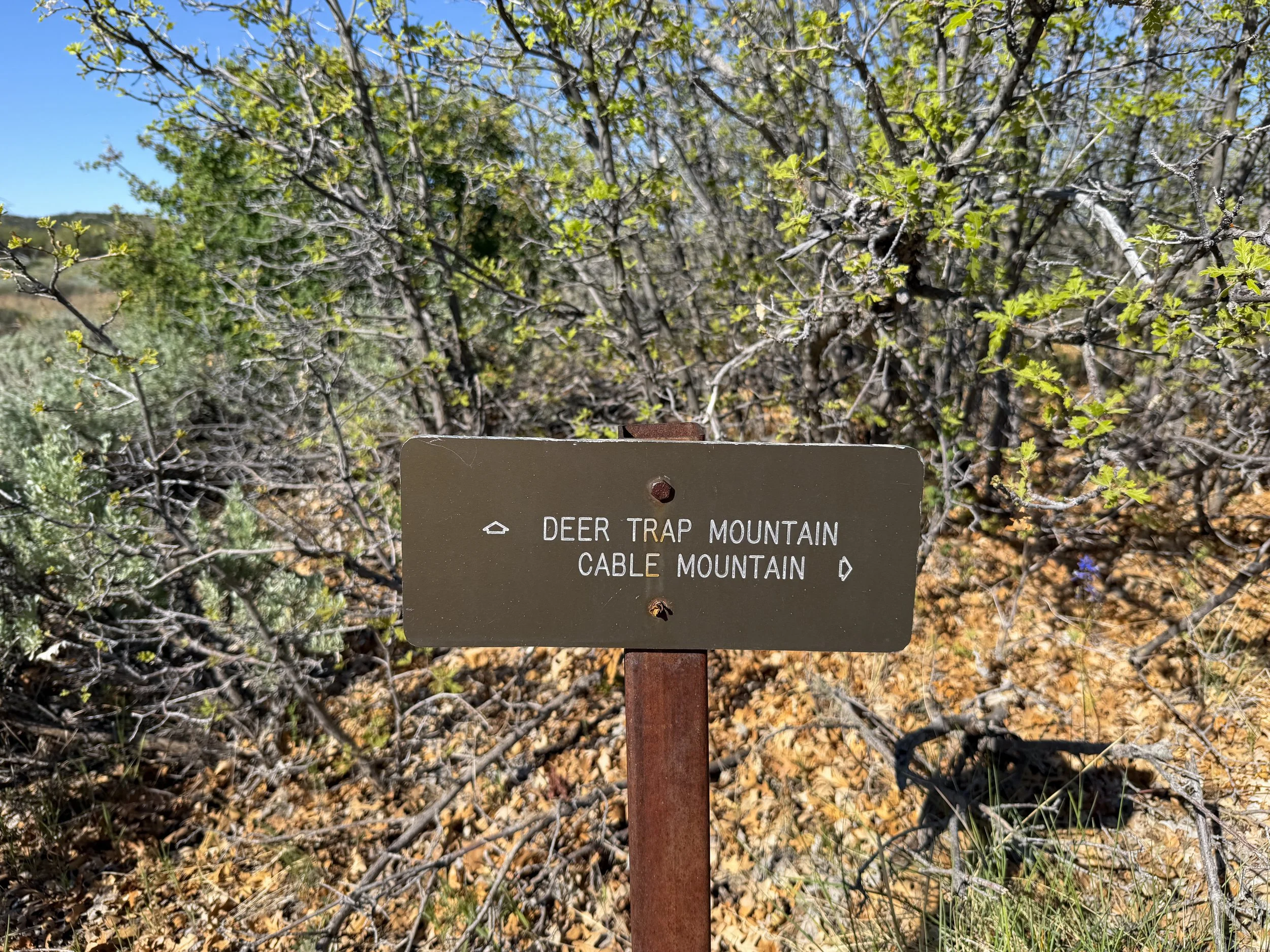 Stave Spring Trail to Deertrap Mountain Zion National Park Utah
