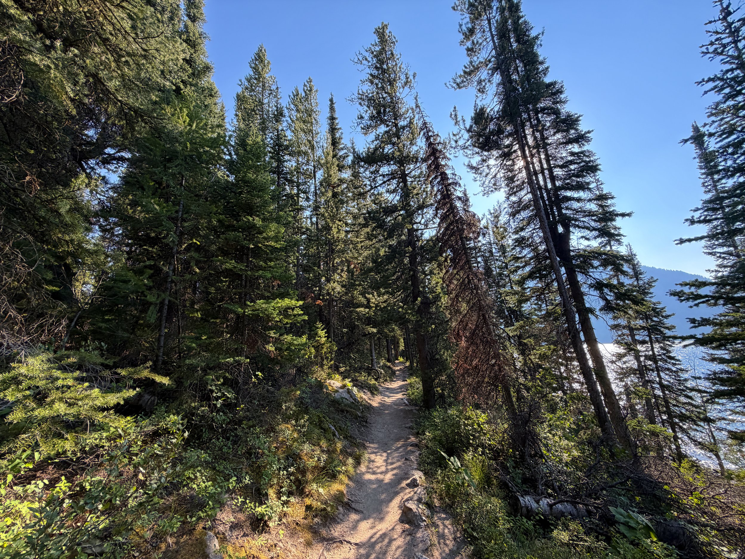 Jenny Lake Loop Trail Grand Teton National Park Wyoming