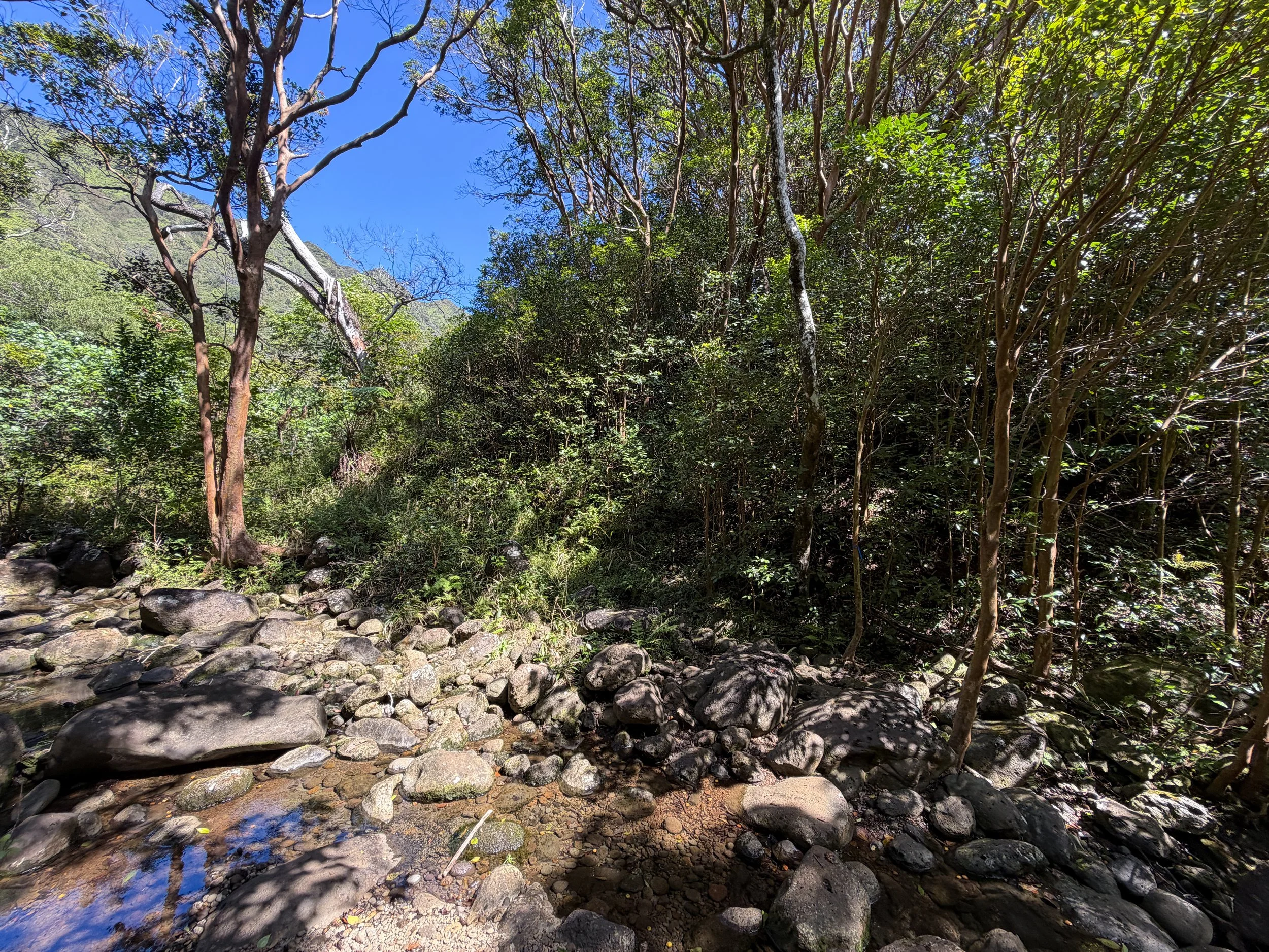 Kulanaahane Hike Oahu Hawaii