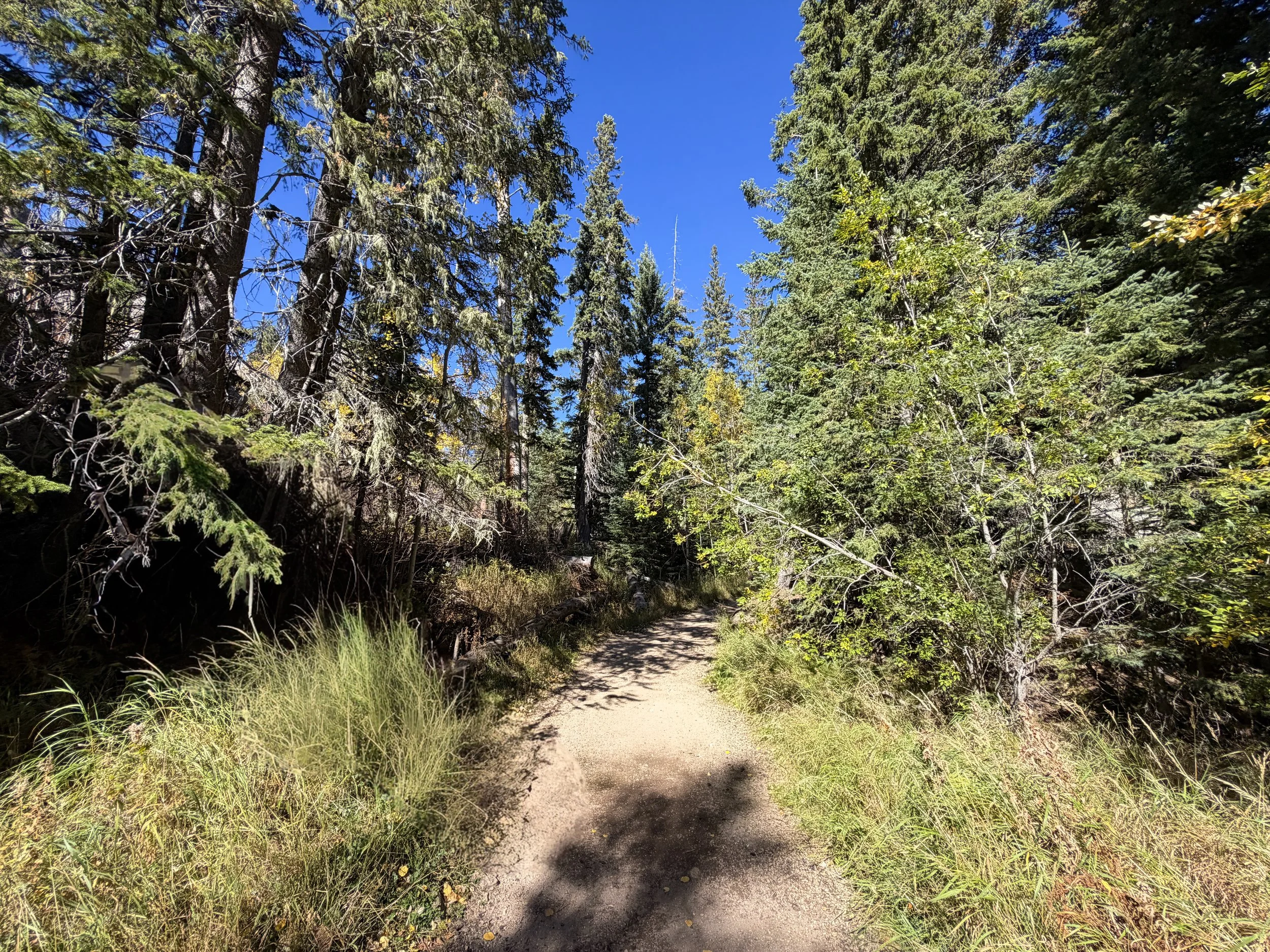 Black Elk Peak via Trail 9 Black Hills South Dakota