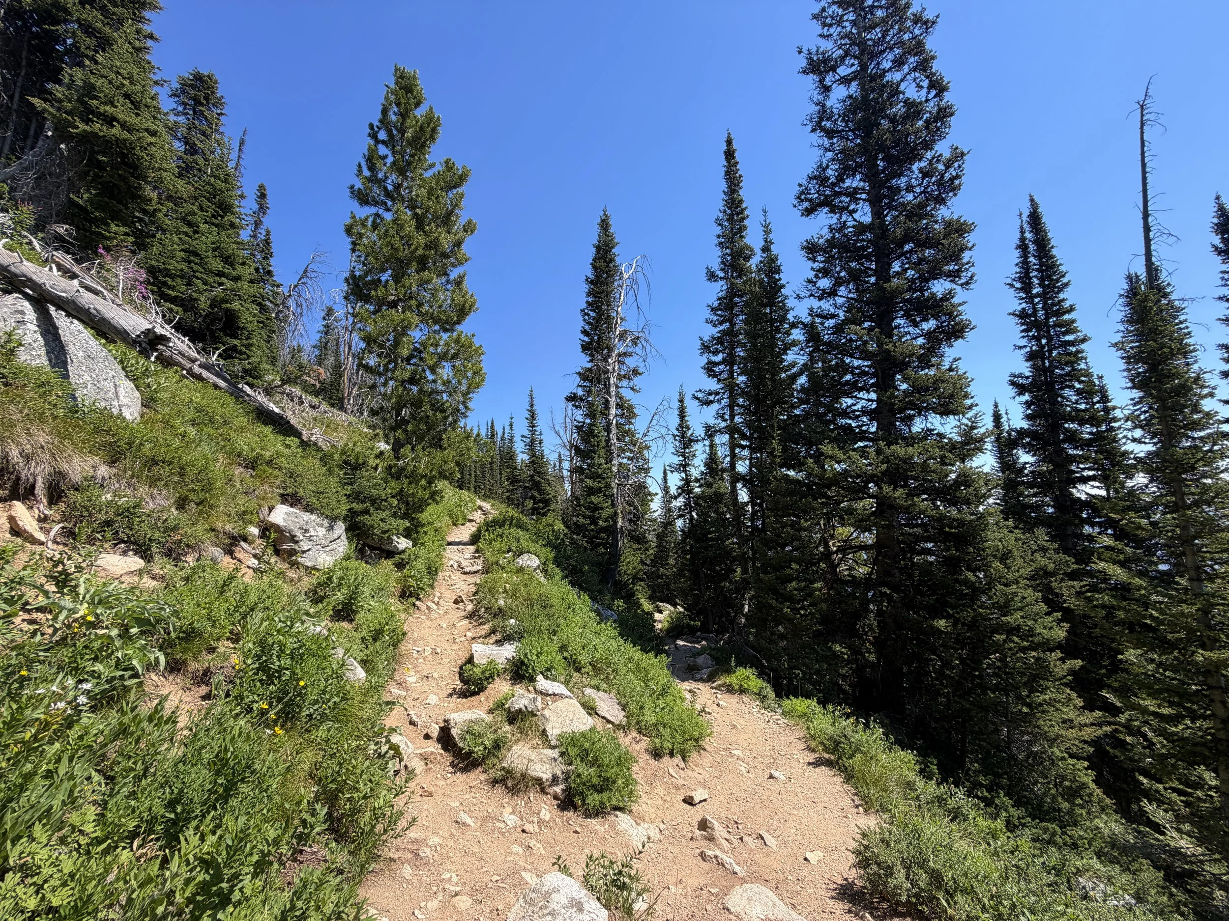 Surprise and Amphitheater Lakes Trail Grand Teton National Park Wyoming