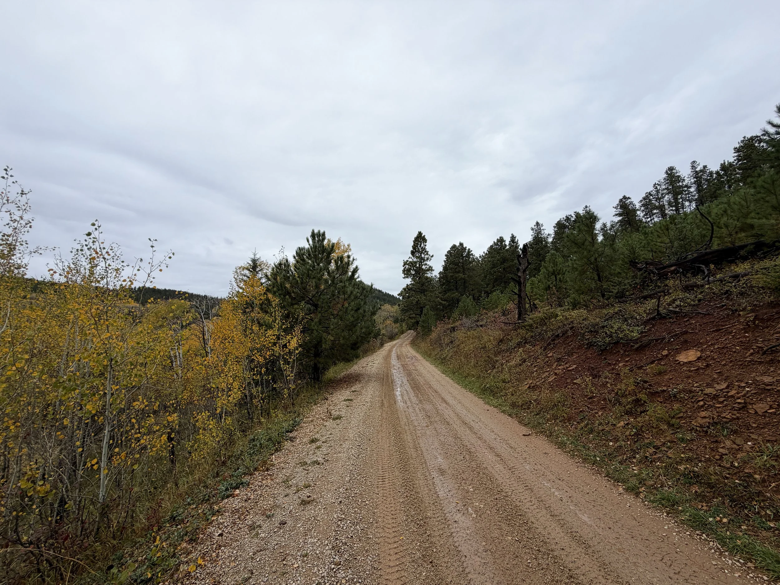 Custer Peak Trail Black Hills South Dakota