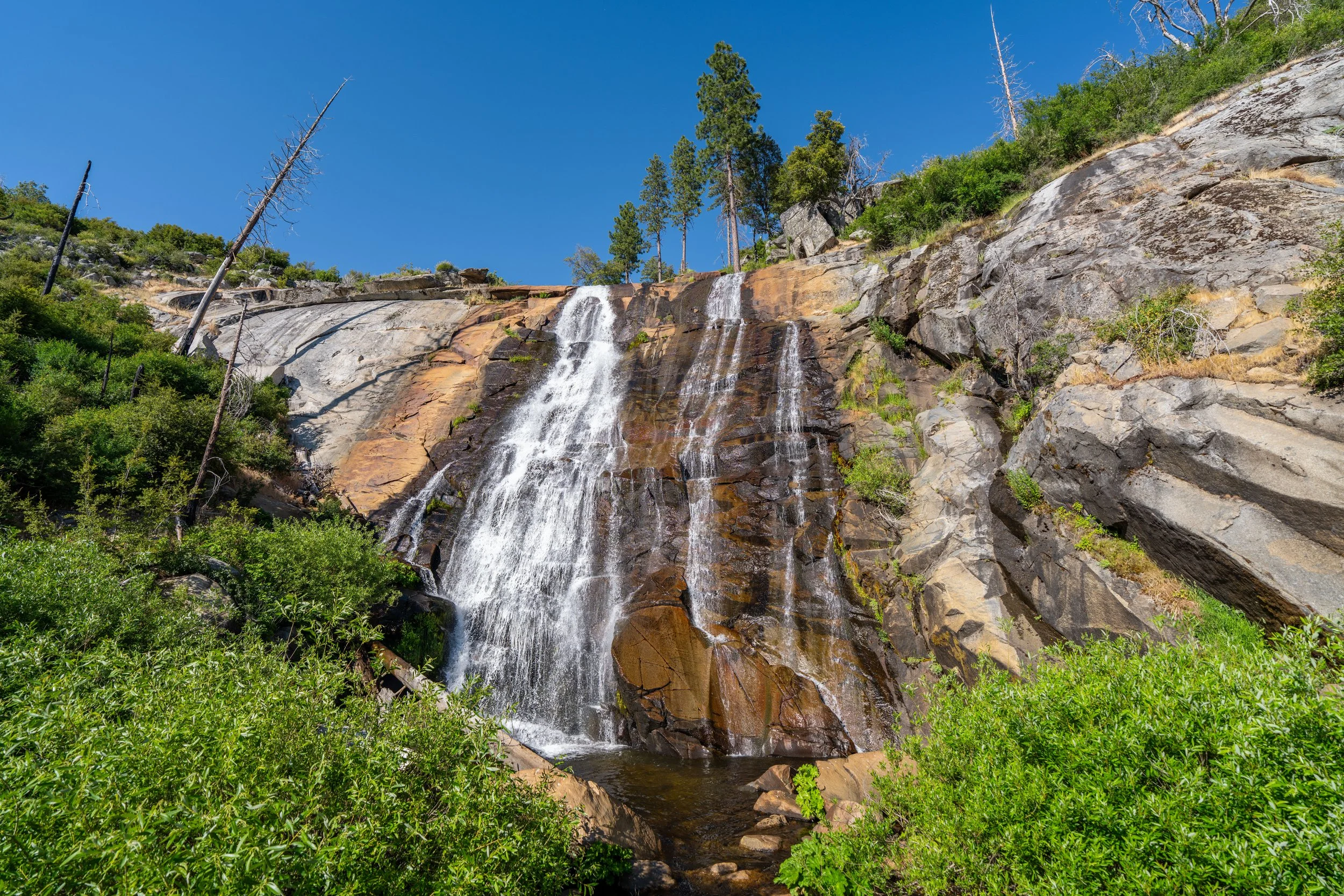 Foresta Falls