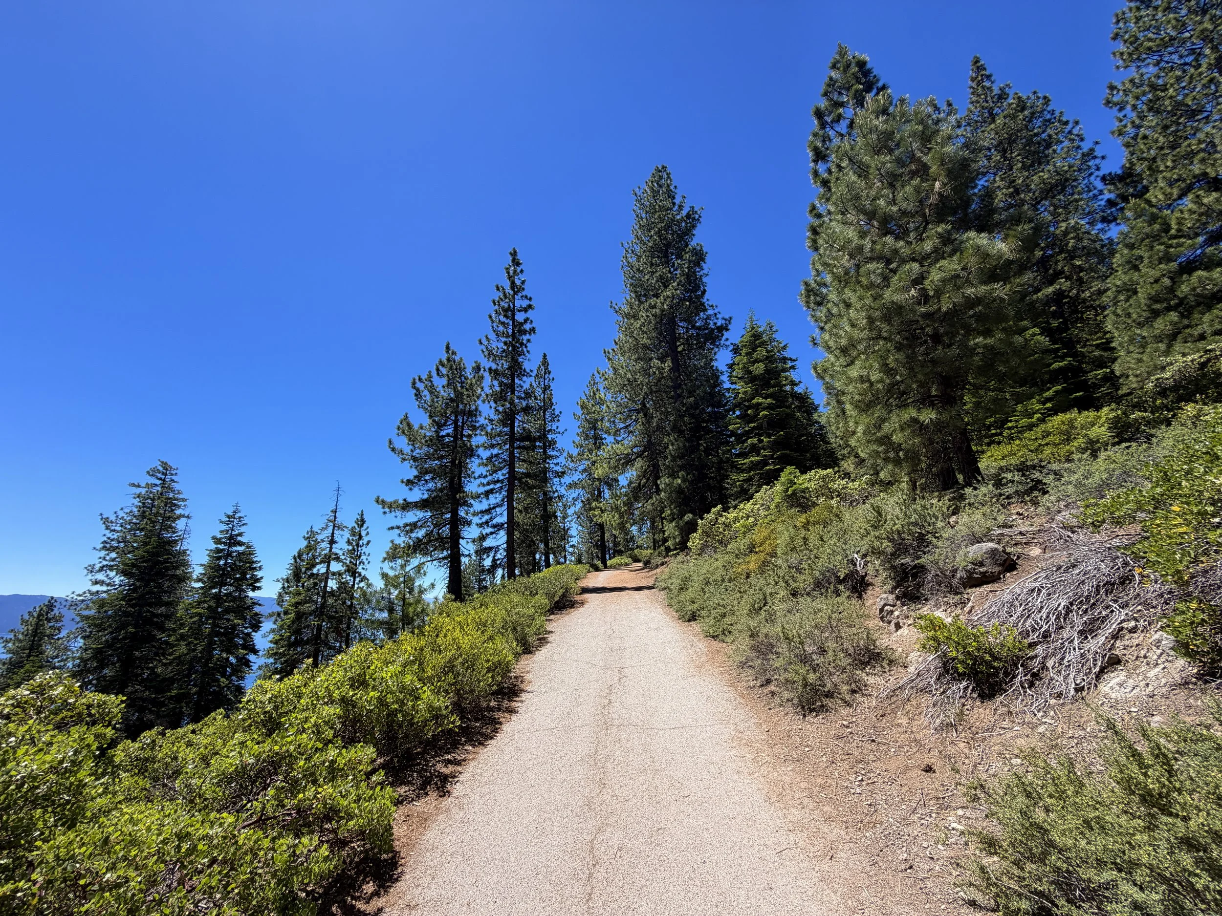 Stateline Lookout Trail Lake Tahoe California