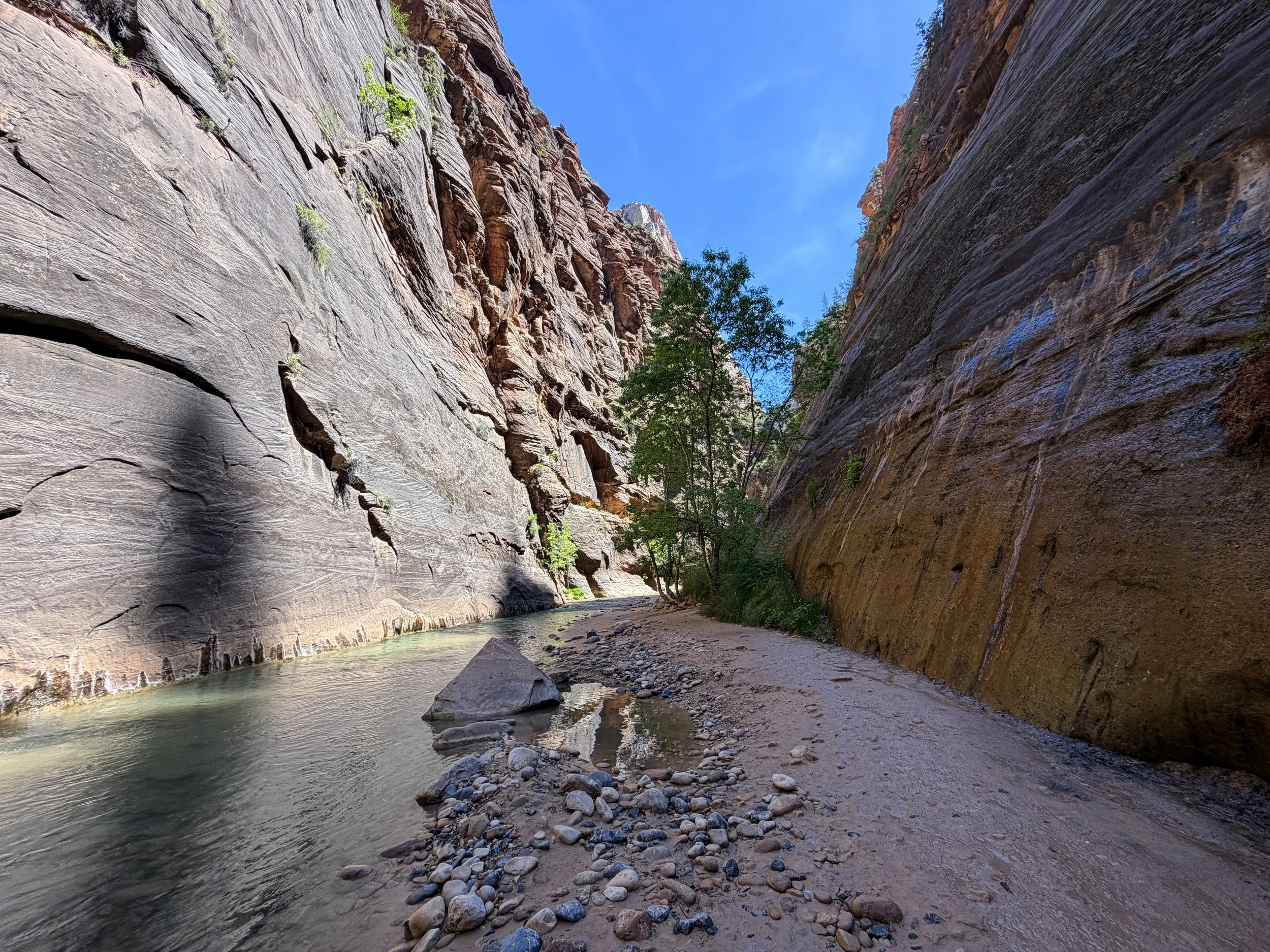 The Narrows Zion National Park Utah