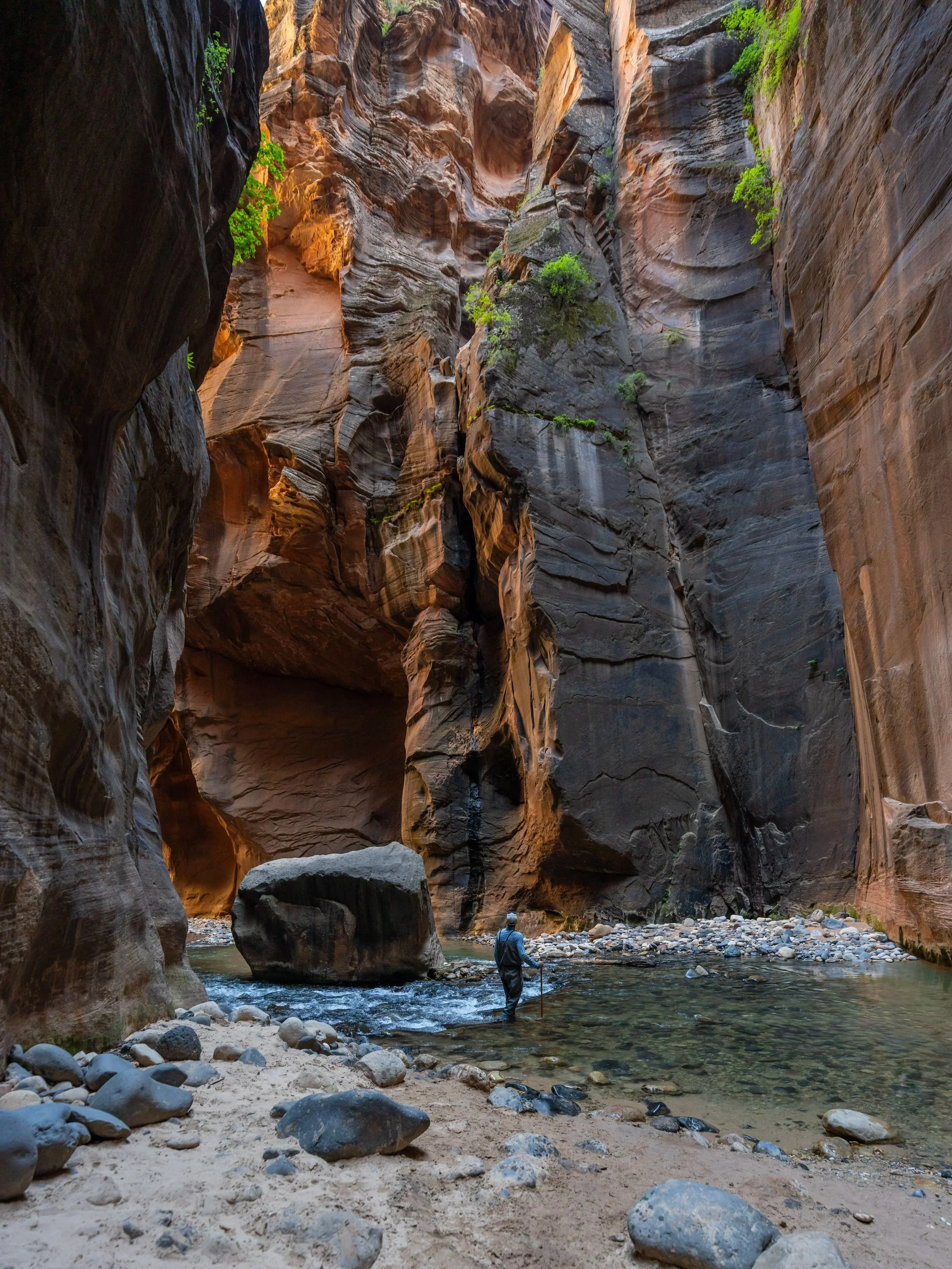 The Narrows Hike Zion National Park
