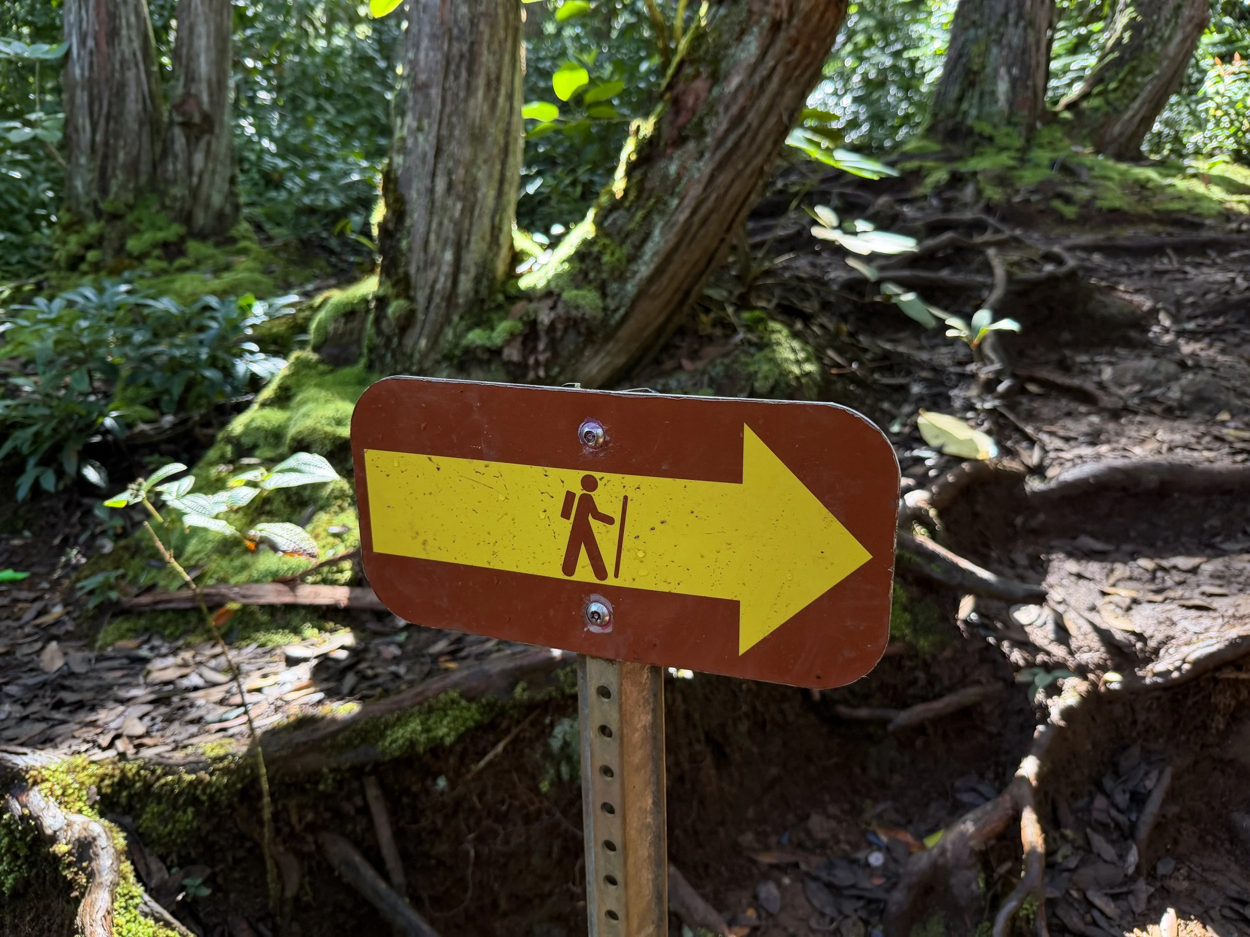 Judd Trail Oahu Hawaii